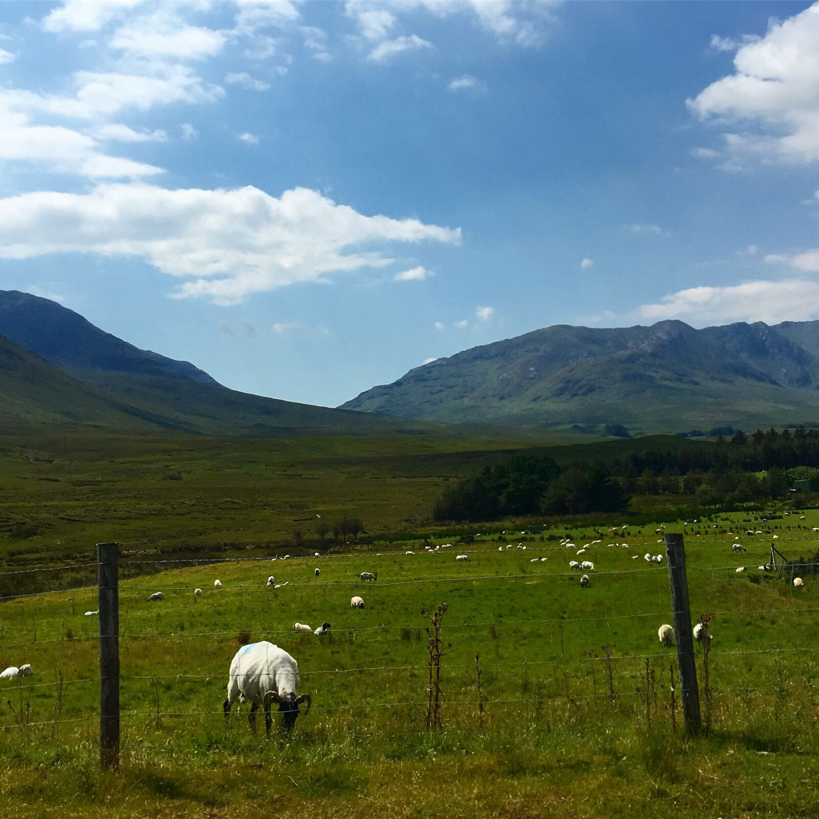 Apple iPhone 6s sample photo. Mountain, landscape, agriculture photography