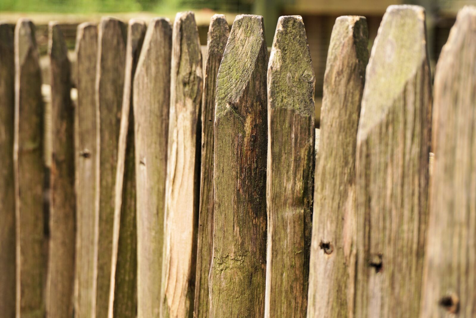 Sony a6000 sample photo. Fence, wood, battens photography