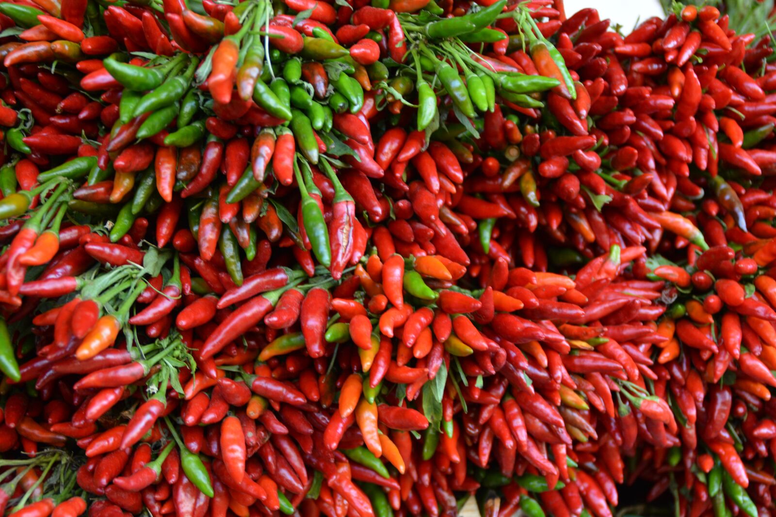 Nikon D5200 sample photo. Red, chilli, edible photography