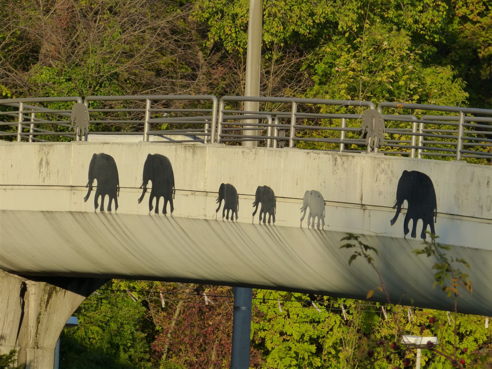 Panasonic DMC-FZ62 sample photo. Bridge, elephant, painting photography