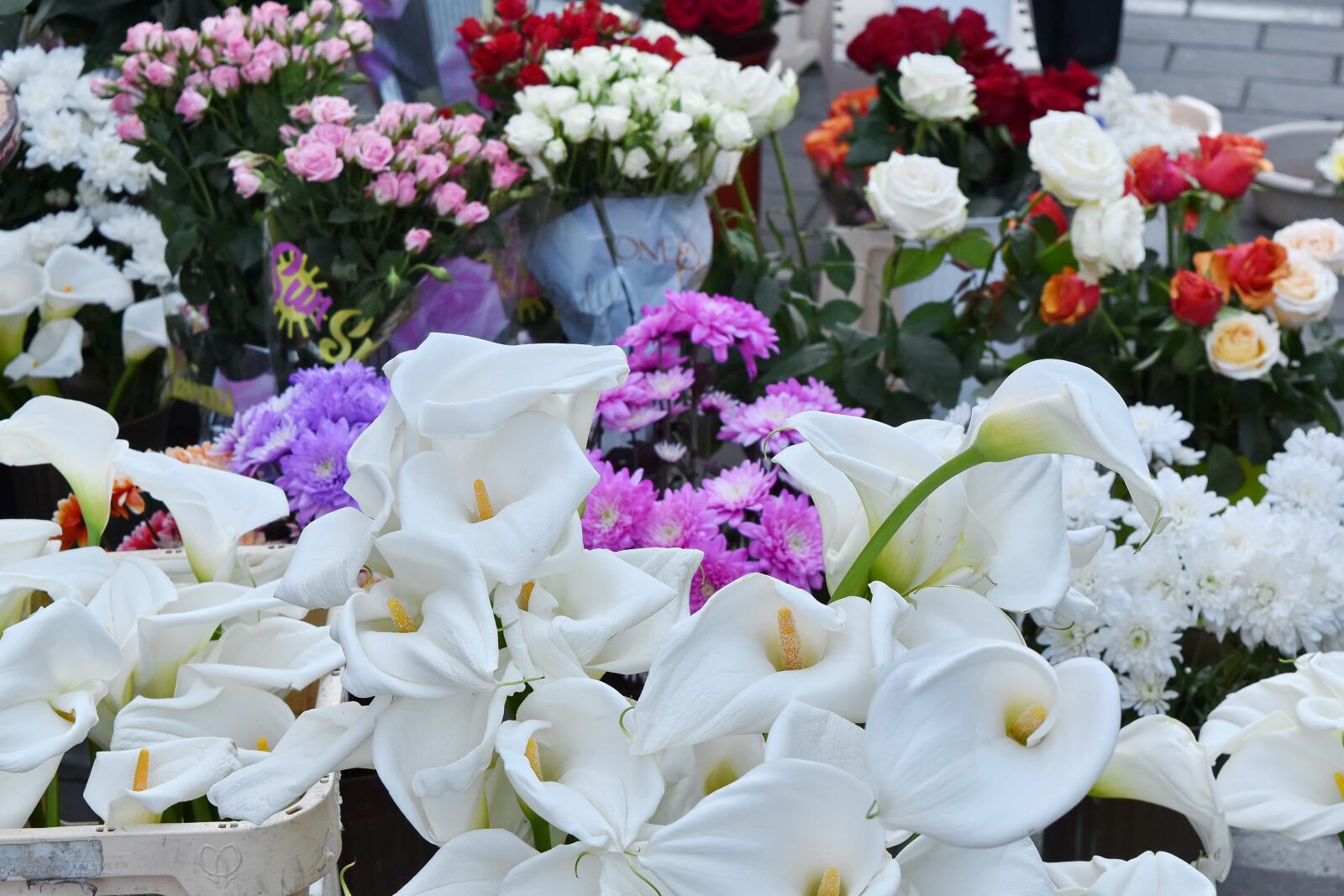 Nikon D5500 sample photo. Still life, flowers, bouquet photography