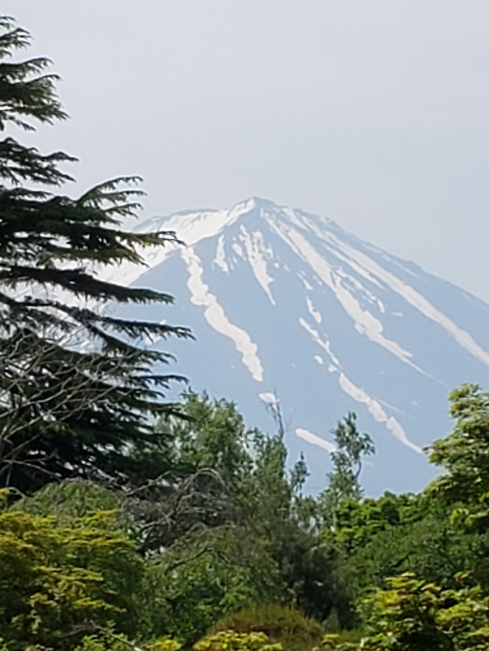 Samsung Galaxy S9 sample photo. Mt, fuji, viewed from photography