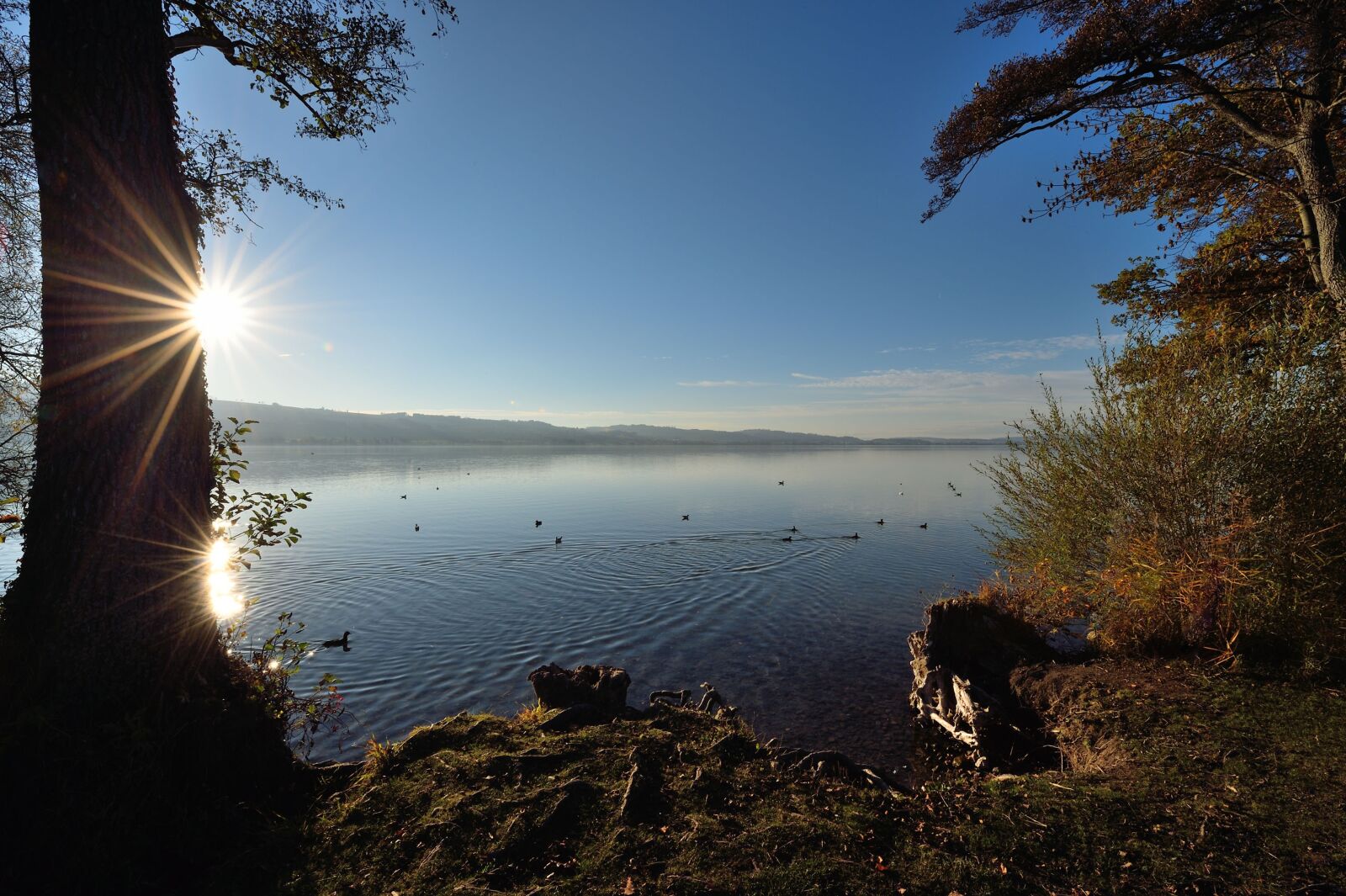 Nikon D4S sample photo. Sempachersee, sunset, nature photography