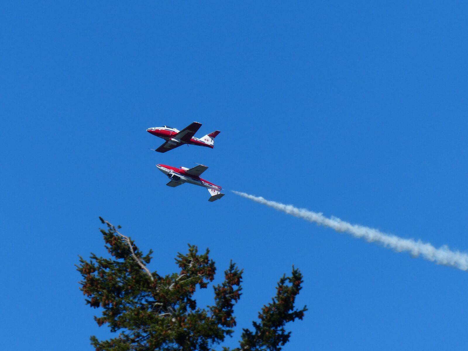 Panasonic Lumix DMC-FZ200 sample photo. Snowbirds, aerobatic, canada photography