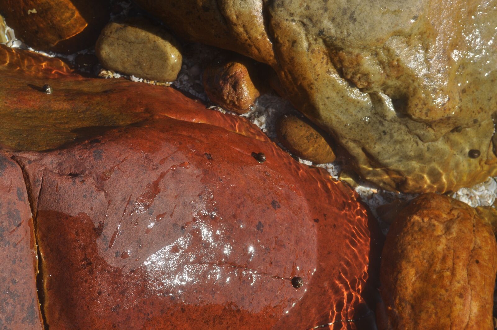 Nikon D5000 sample photo. Closeup, desktop, stones photography