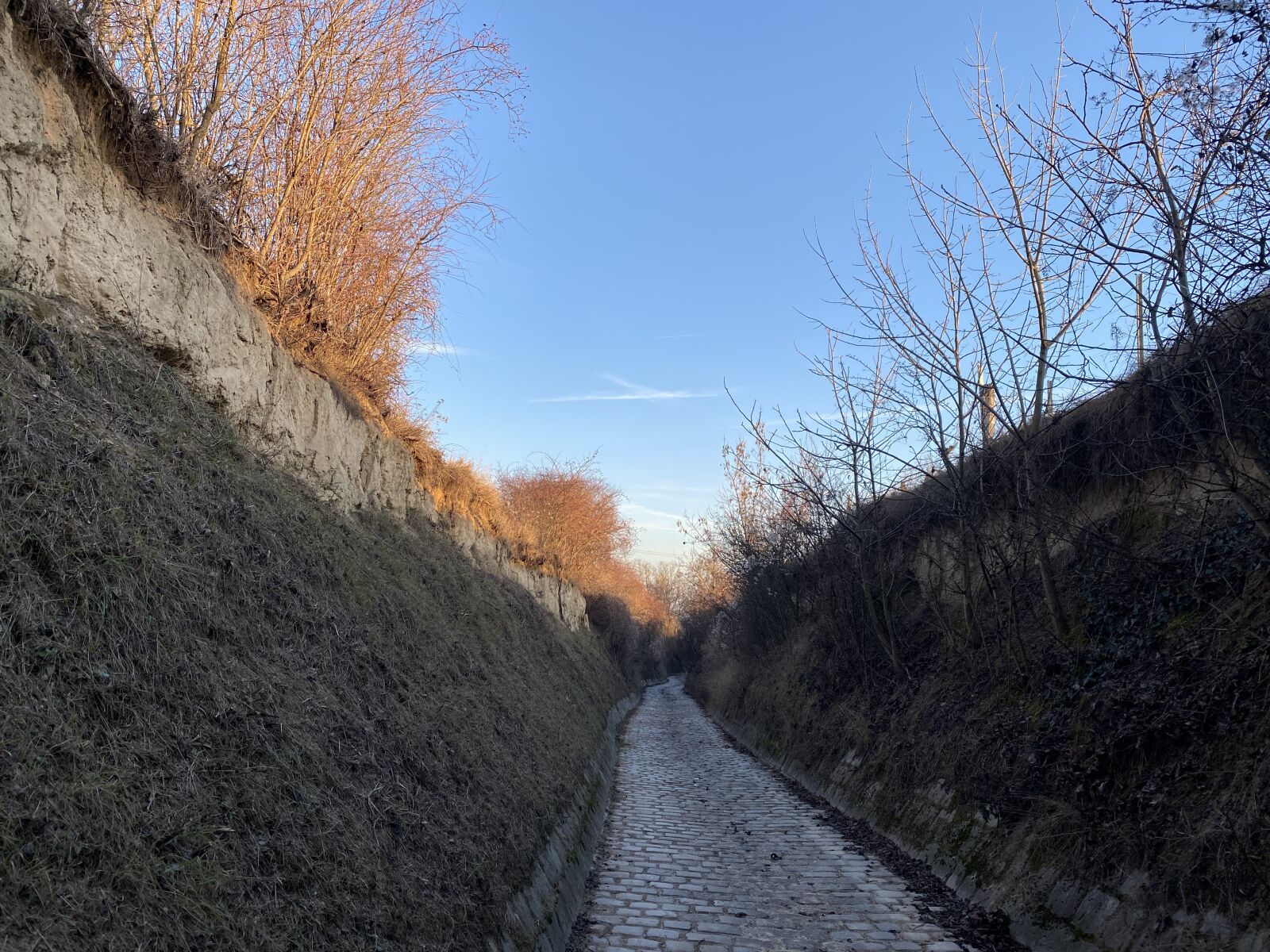 Apple iPhone 11 Pro sample photo. Wien-stammersdorf, way, expectations photography