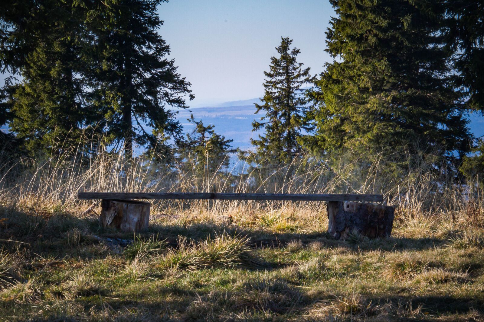 Canon EOS 100D (EOS Rebel SL1 / EOS Kiss X7) + Canon EF-S 55-250mm F4-5.6 IS STM sample photo. Bench, silence, solitude photography