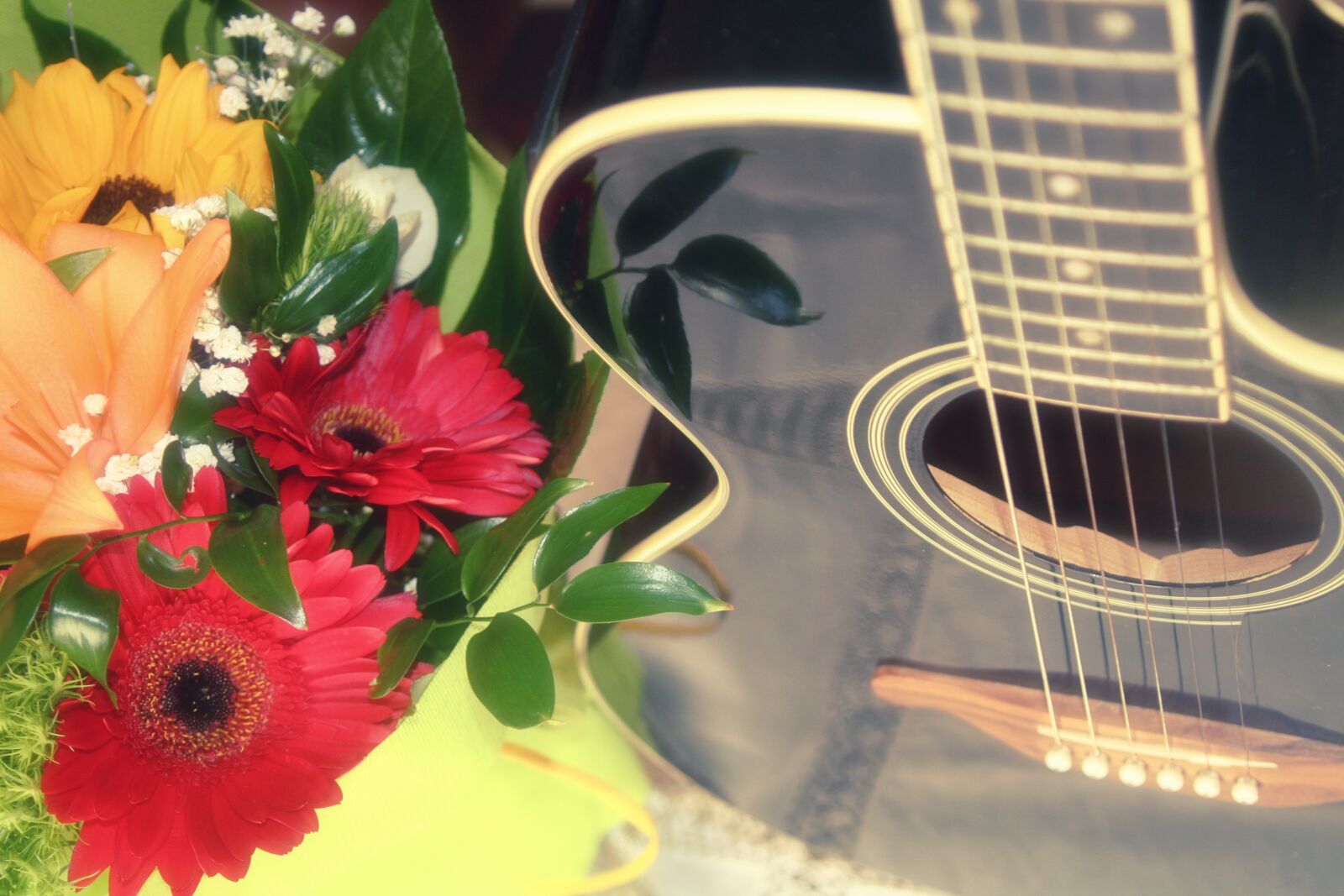 Canon EOS 350D (EOS Digital Rebel XT / EOS Kiss Digital N) sample photo. Musica, chitarra, fiori photography