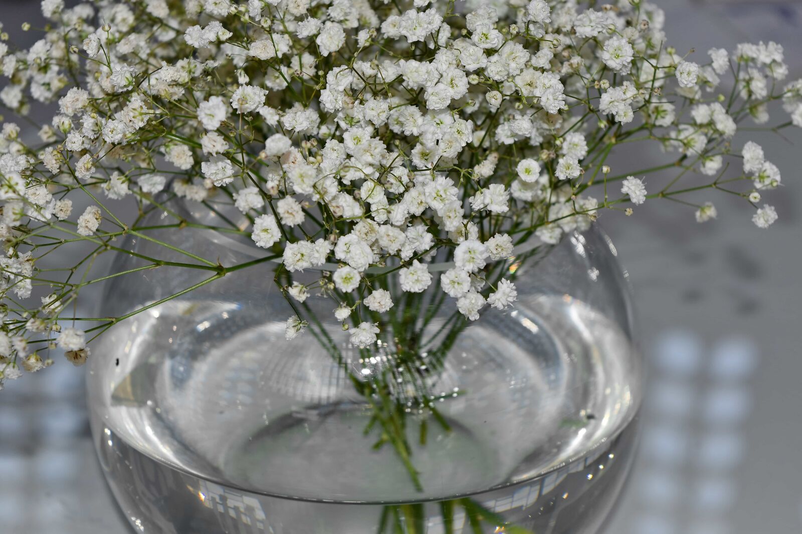Nikon D5500 sample photo. Still life, transparent, vase photography