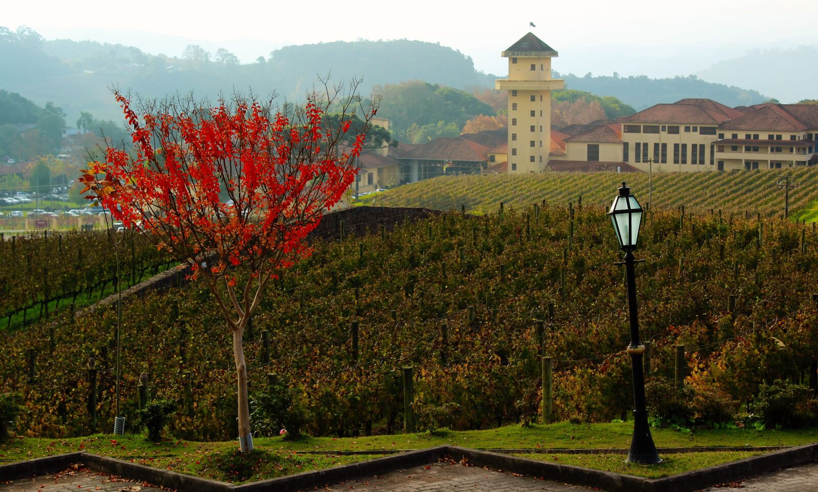 Canon EOS 1200D (EOS Rebel T5 / EOS Kiss X70 / EOS Hi) sample photo. Farm, winery, flying photography