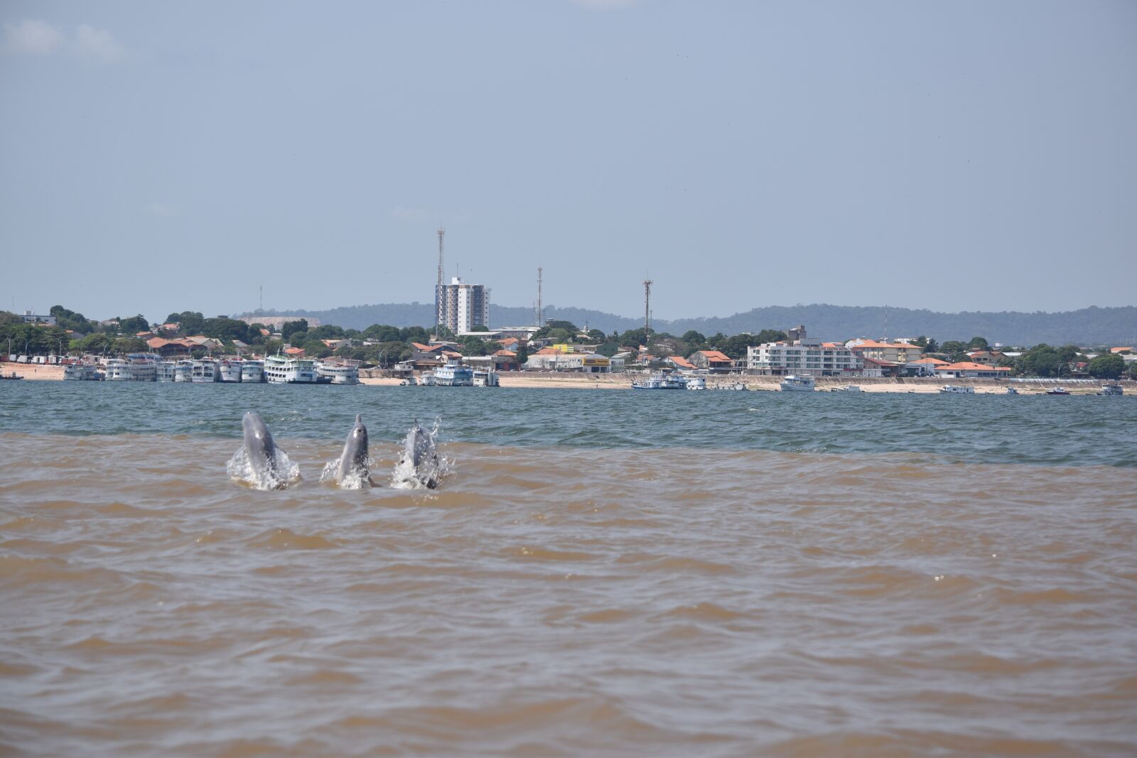 Nikon D3300 sample photo. Rio, river, amazon photography