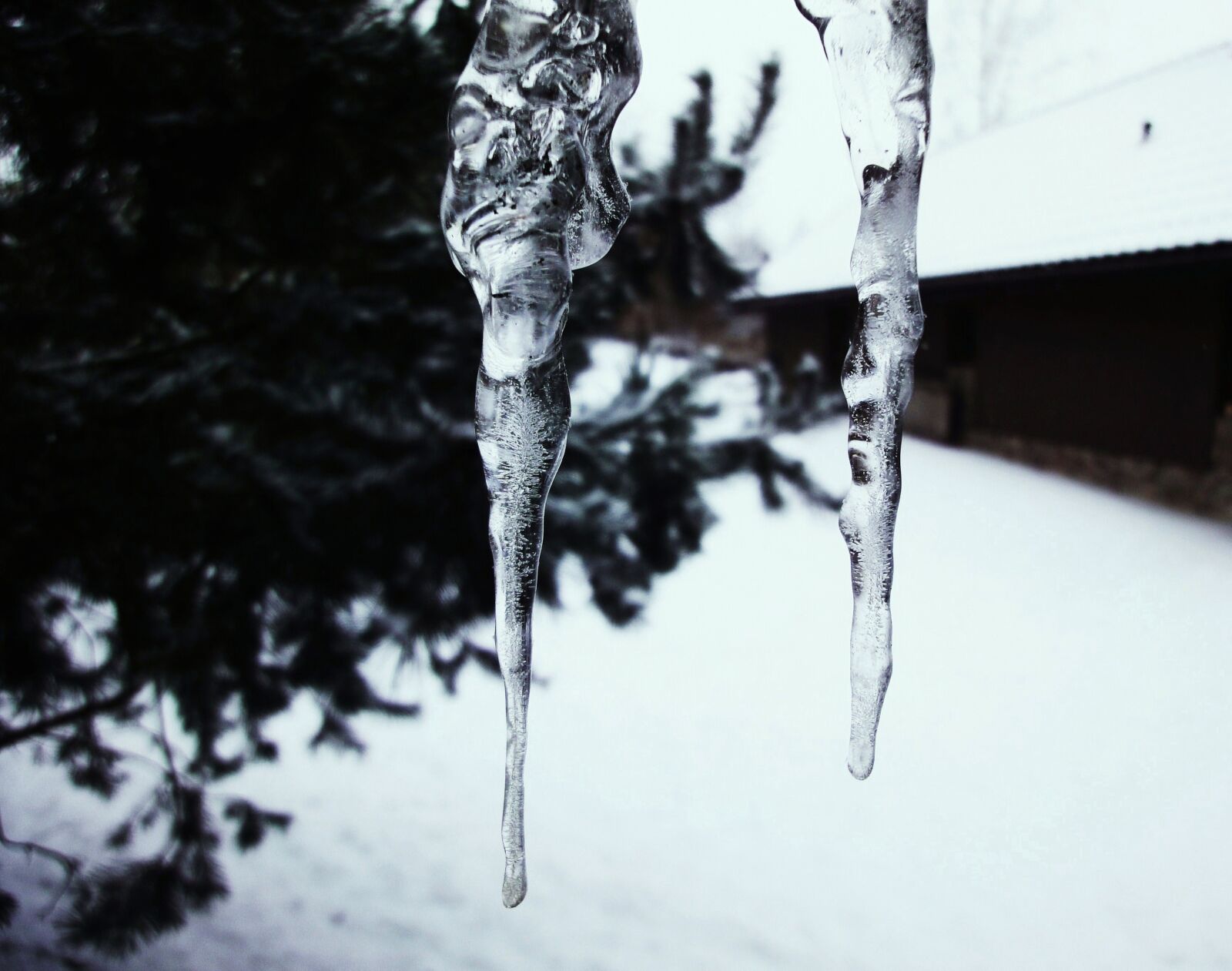 Sony Cyber-shot DSC-WX1 sample photo. Ice, icicles, snow, winter photography