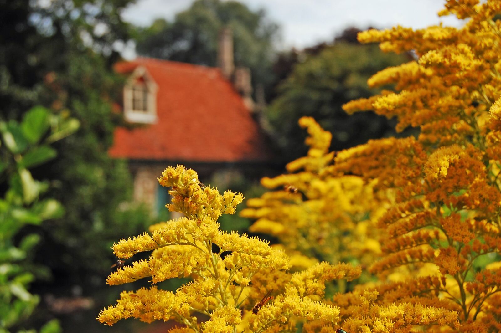 Nikon D40 sample photo. Mill, countryside, scene photography