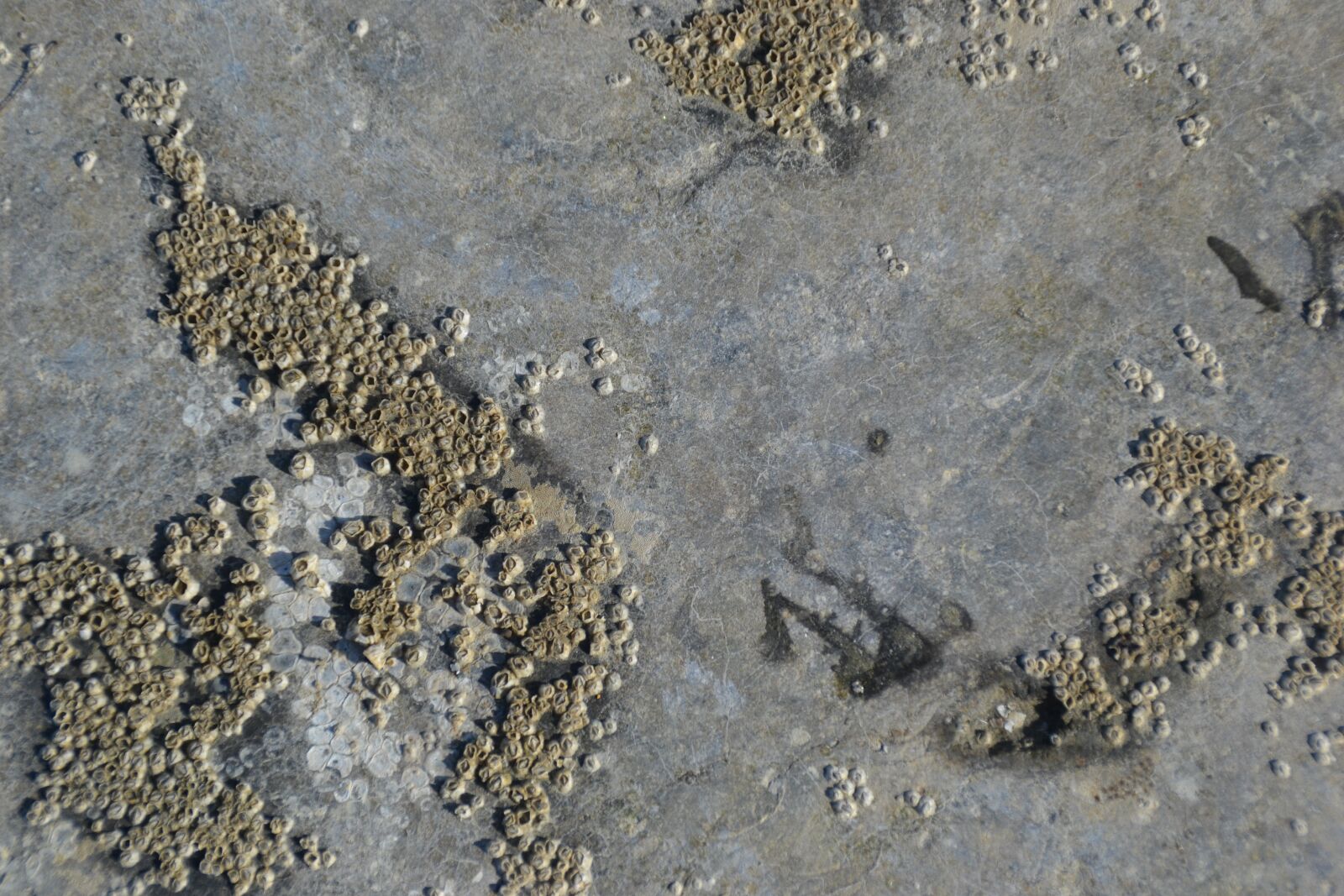 Nikon D3100 sample photo. Sand, ripple, sea photography