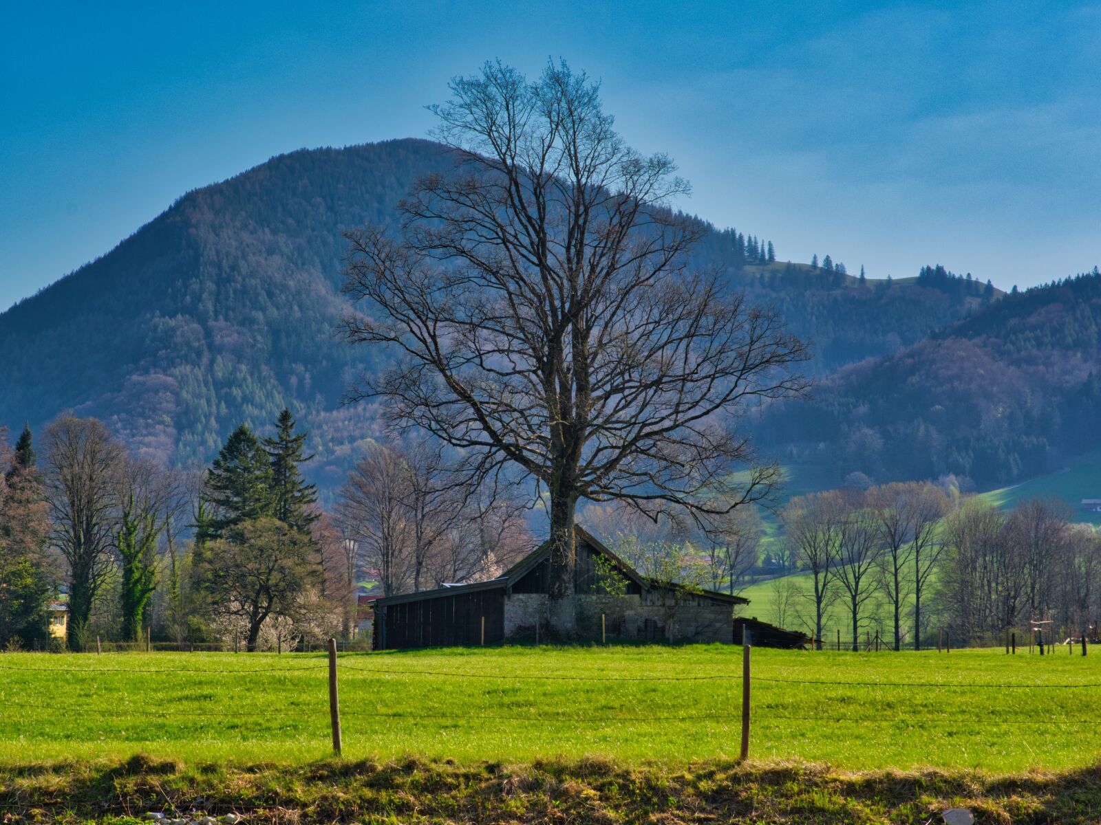 Nikon D7100 sample photo. Landscape, spring, tree photography