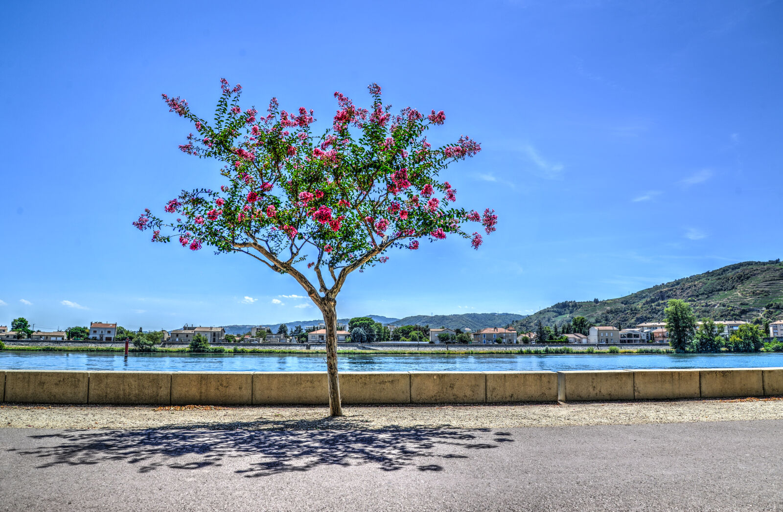 Nikon D610 sample photo. Clouds, colors, concrete, flowers photography