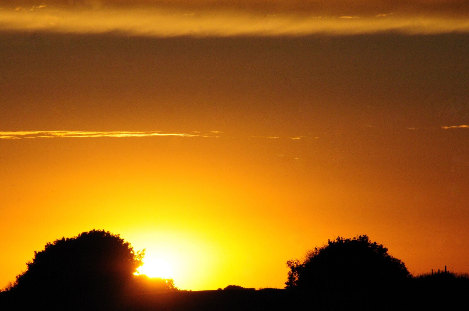 Nikon D300 sample photo. Sunset, field, farm photography