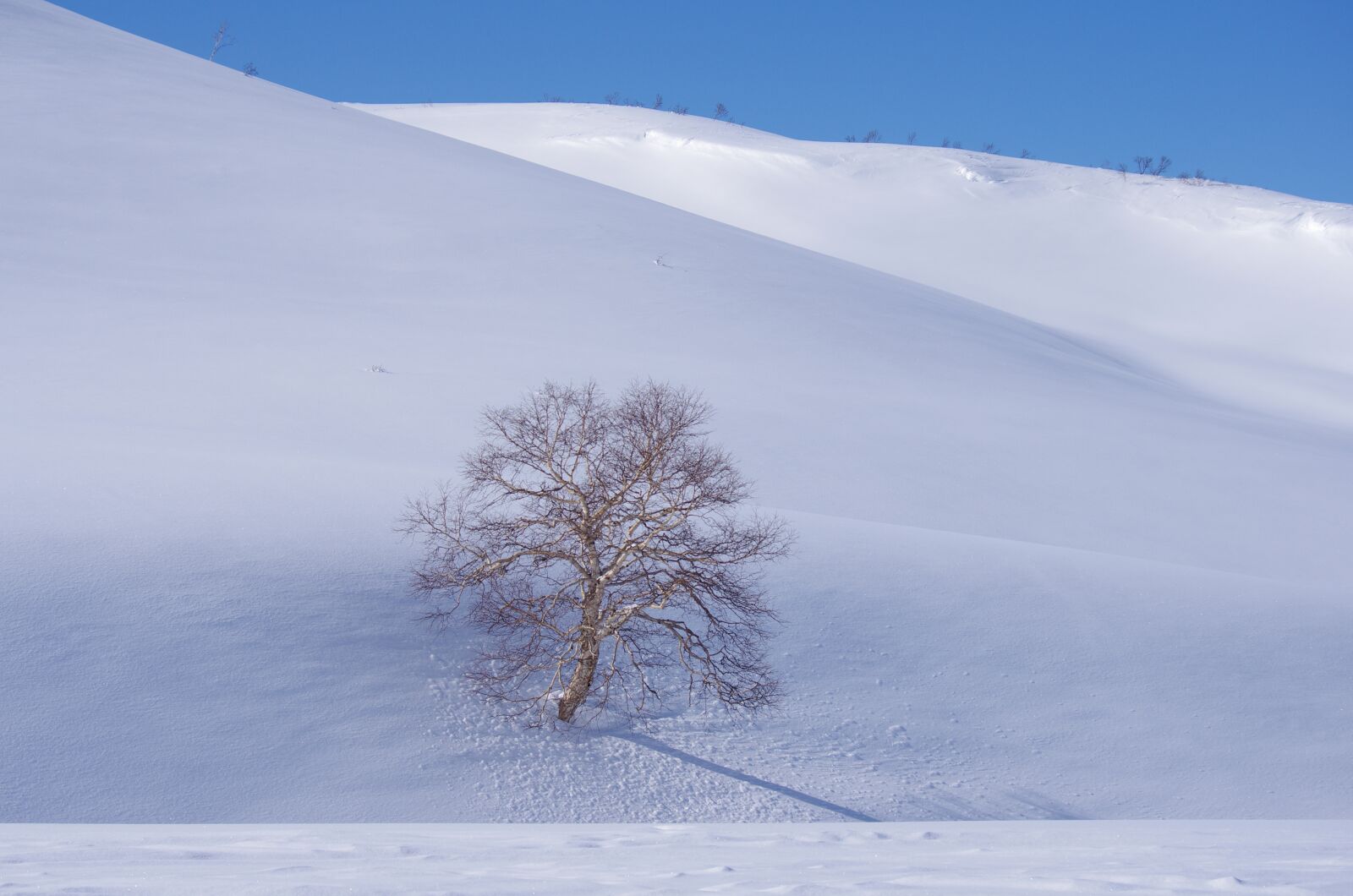 Pentax K-5 sample photo. Mountains, winter, snow photography