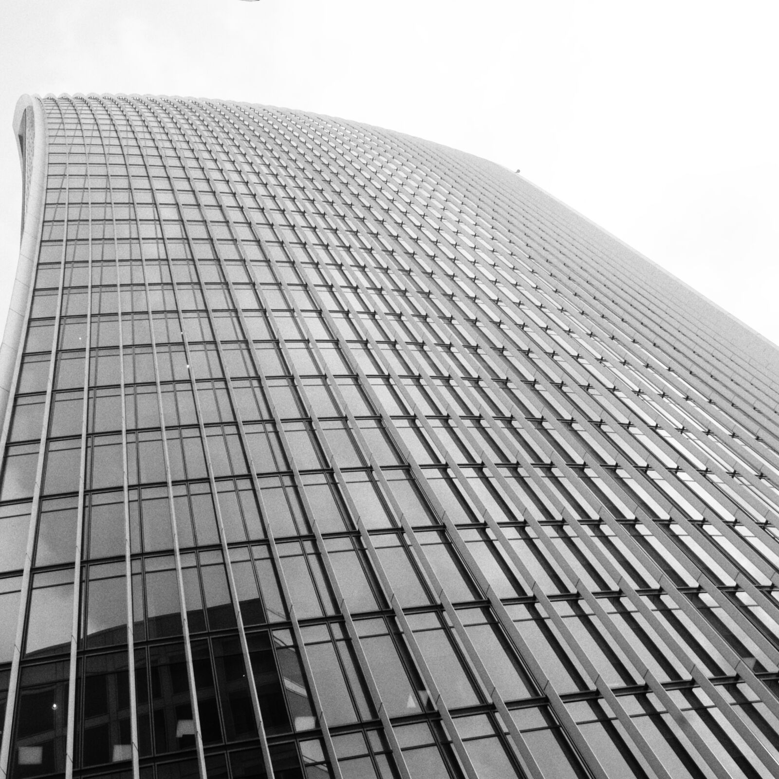 Nikon D3000 sample photo. London, sky, garden, skyscrapers photography