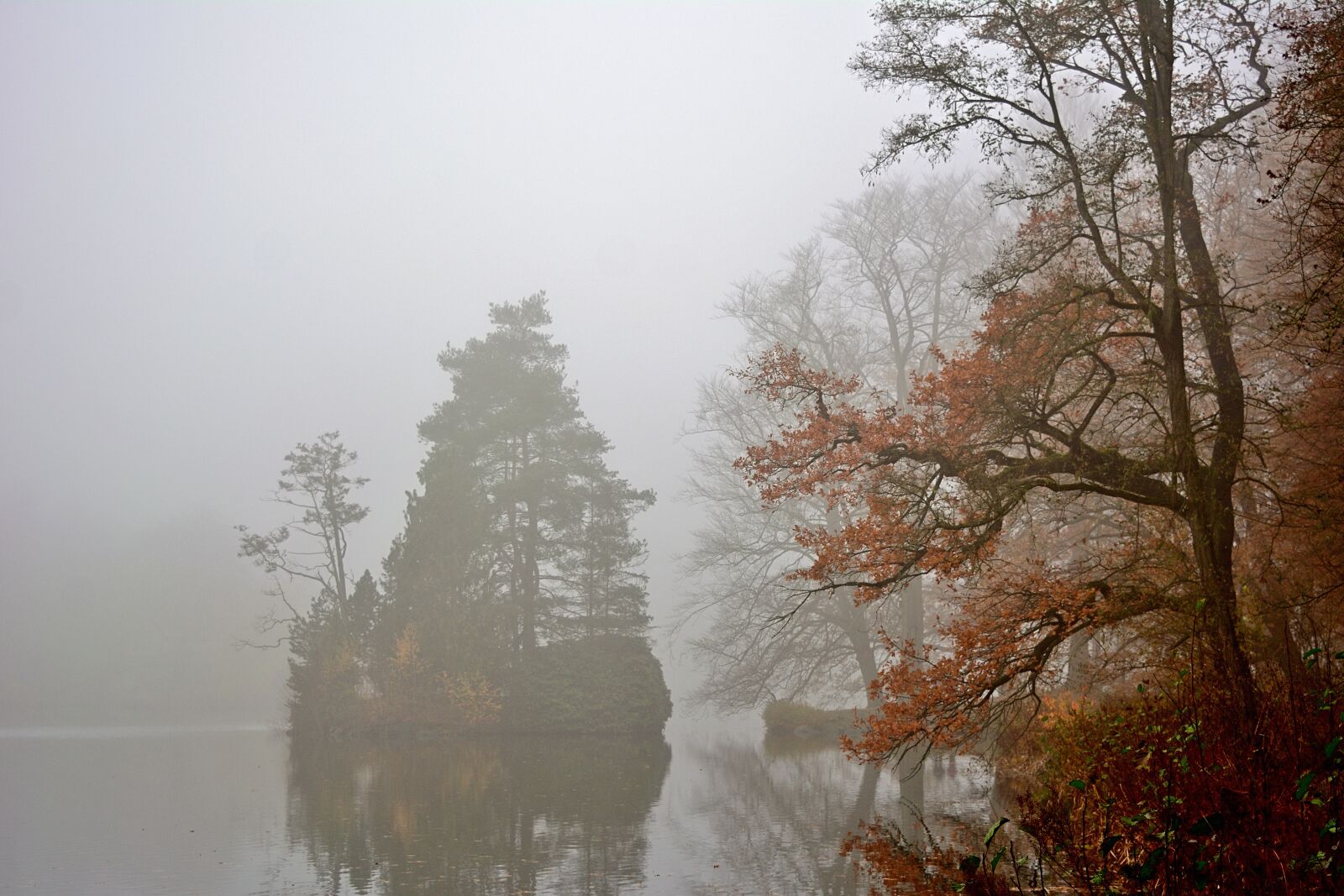 Nikon D5200 sample photo. Park lake, fog, island photography