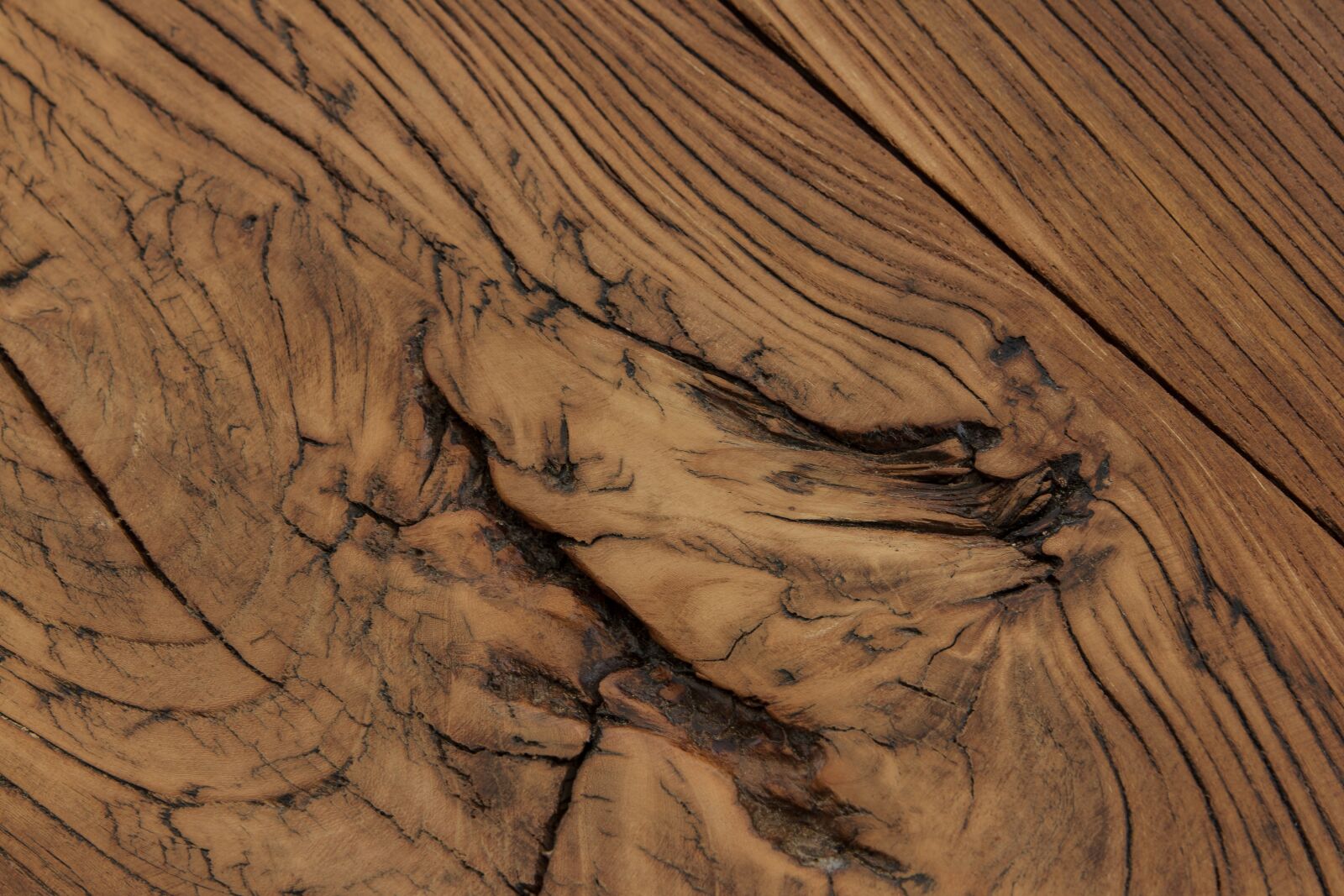 Canon EOS 550D (EOS Rebel T2i / EOS Kiss X4) sample photo. Elm, high current, texture photography
