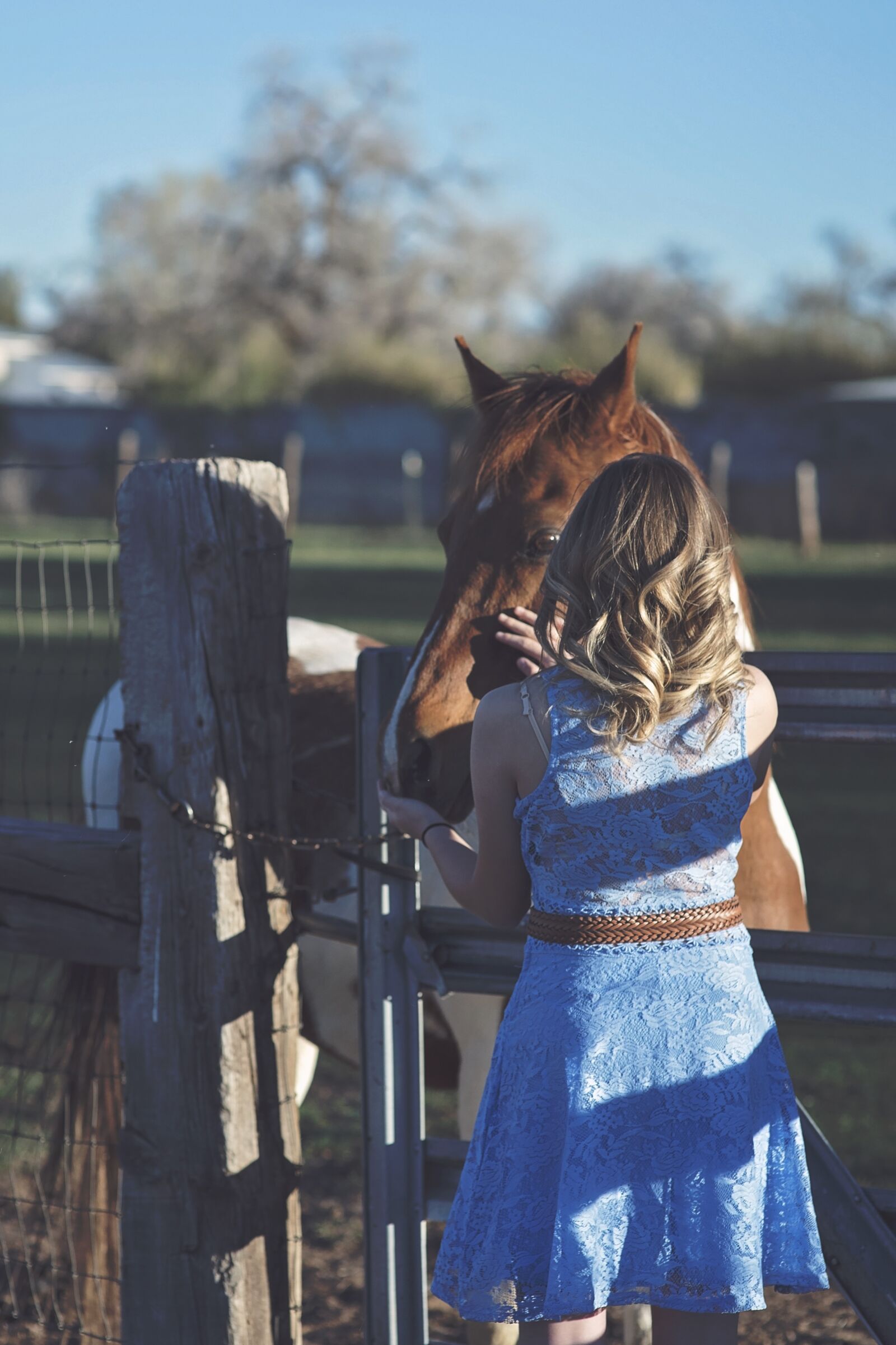Nikon D750 sample photo. Girl, horse, countryside photography
