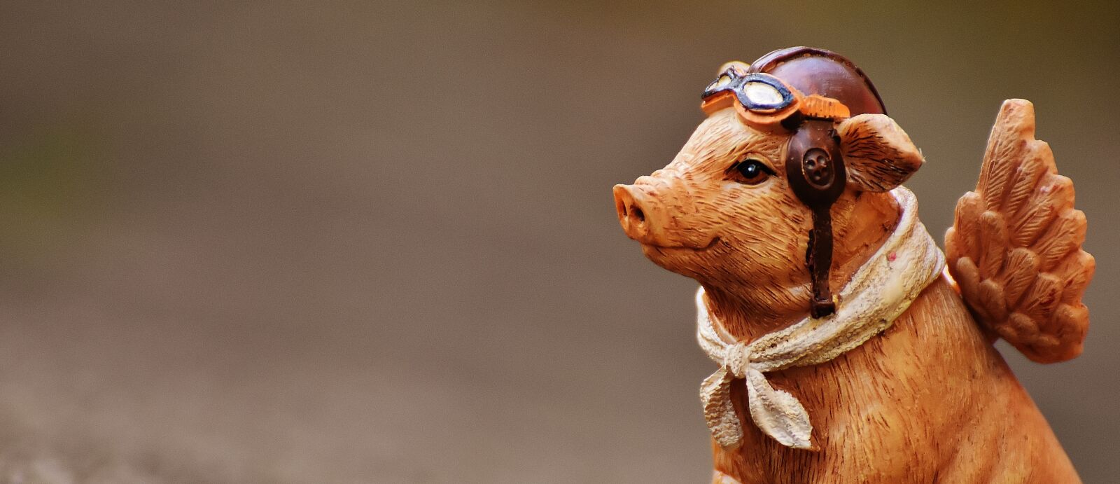 Nikon D7200 sample photo. Lucky pig, guardian angel photography
