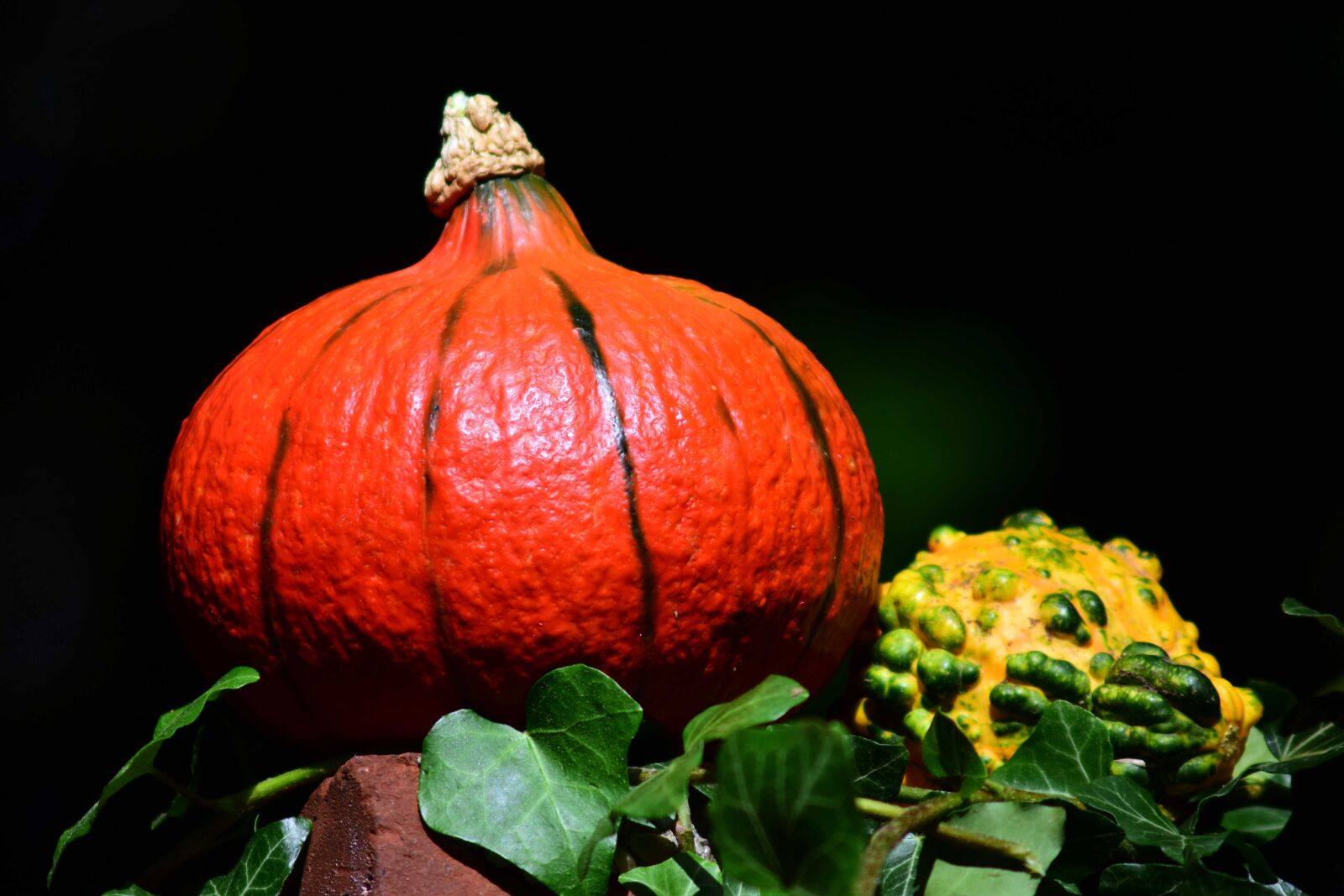 Nikon D3300 sample photo. Vegetable, darkness, still life photography