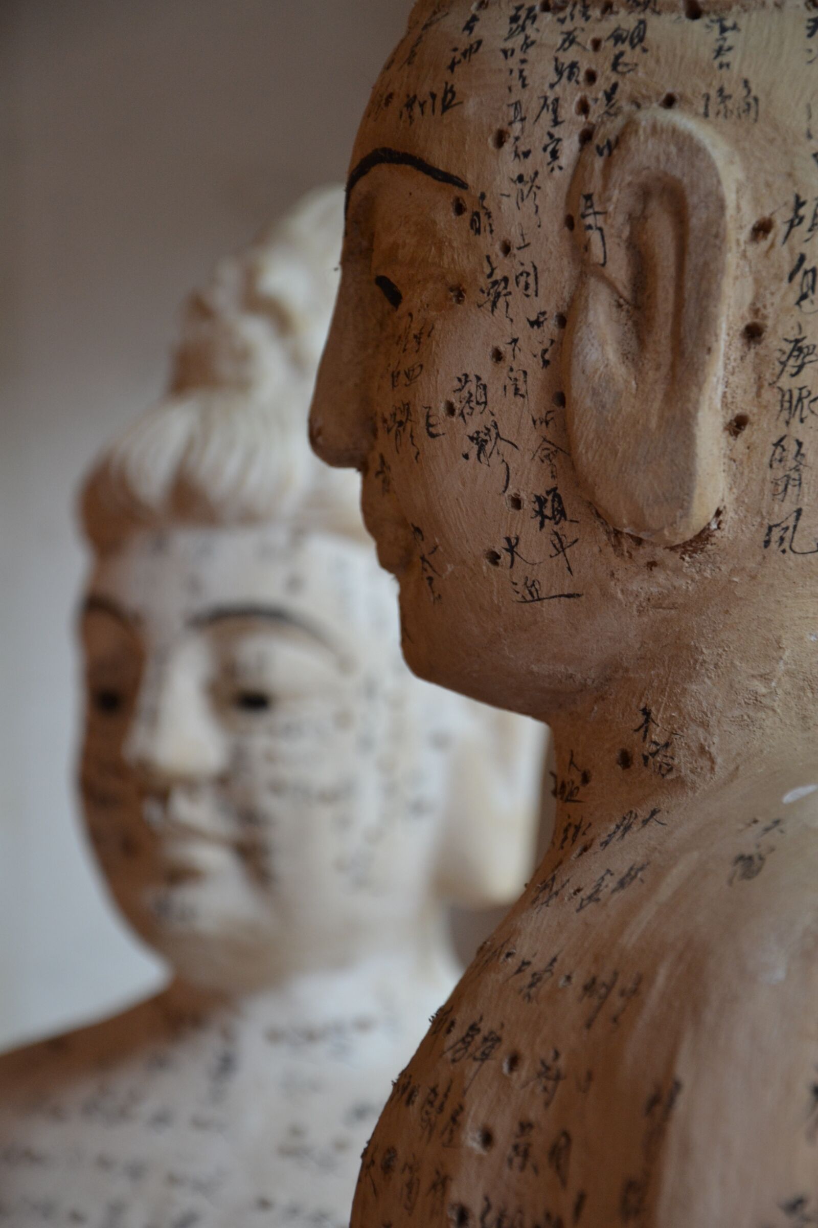 Nikon D3100 sample photo. Acupuncture, tcm, chinese medicine photography