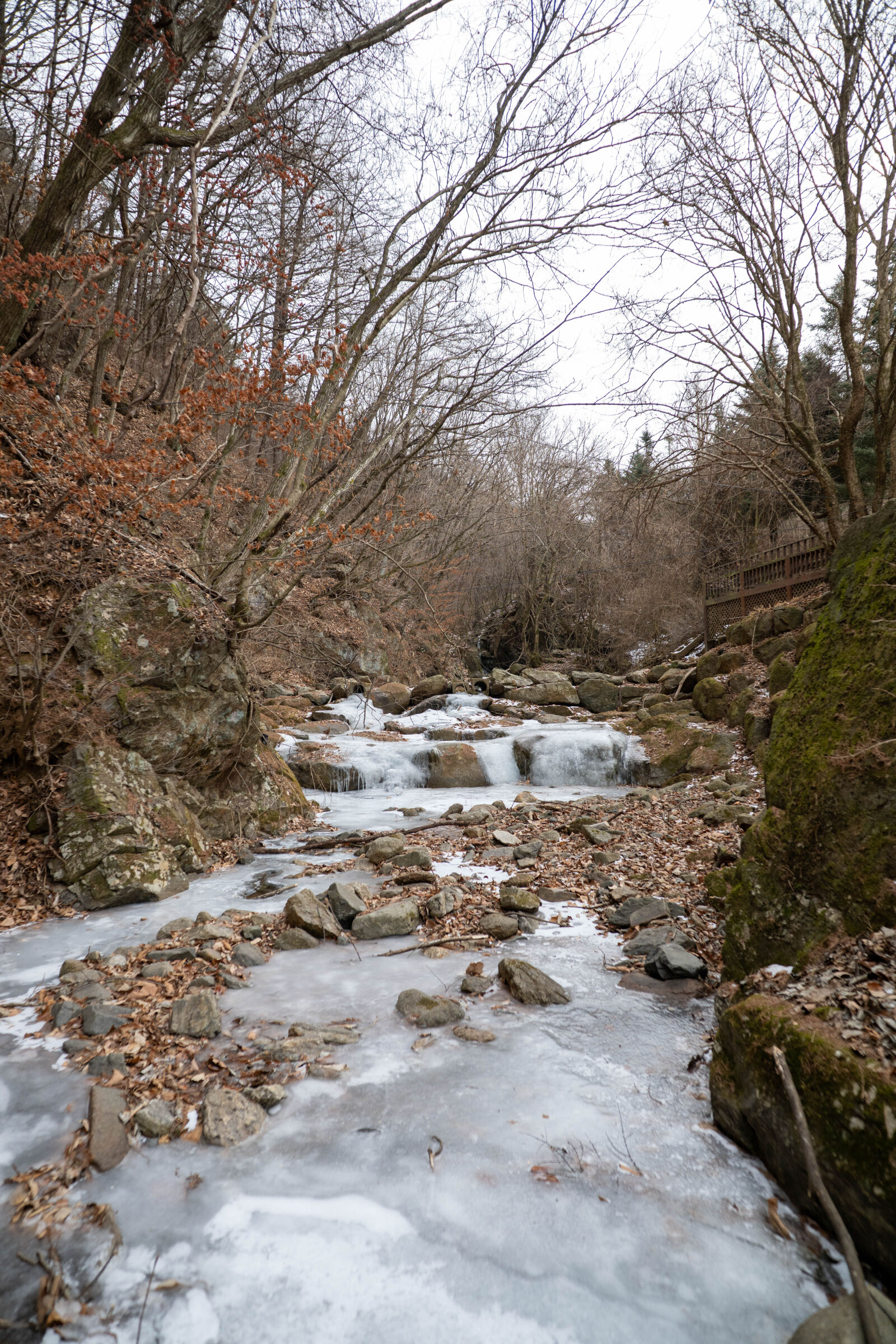 Nikon Z8 sample photo