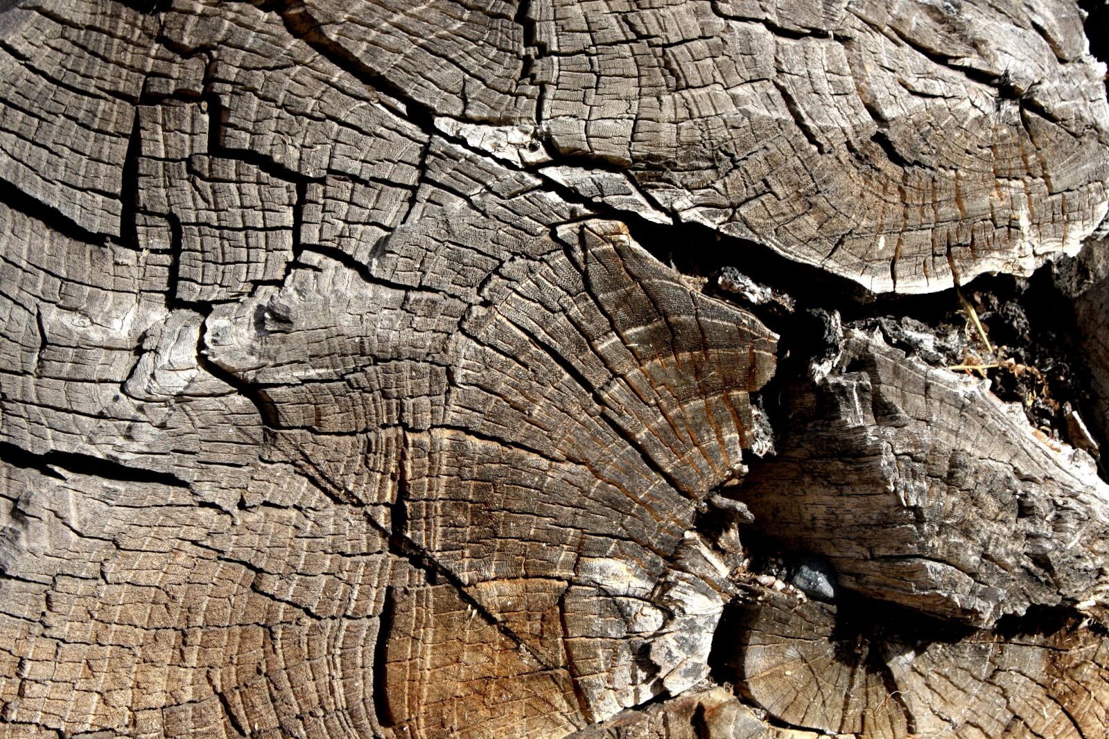 f/3.5-5.6 IS sample photo. Wooden planks, wooden knots photography