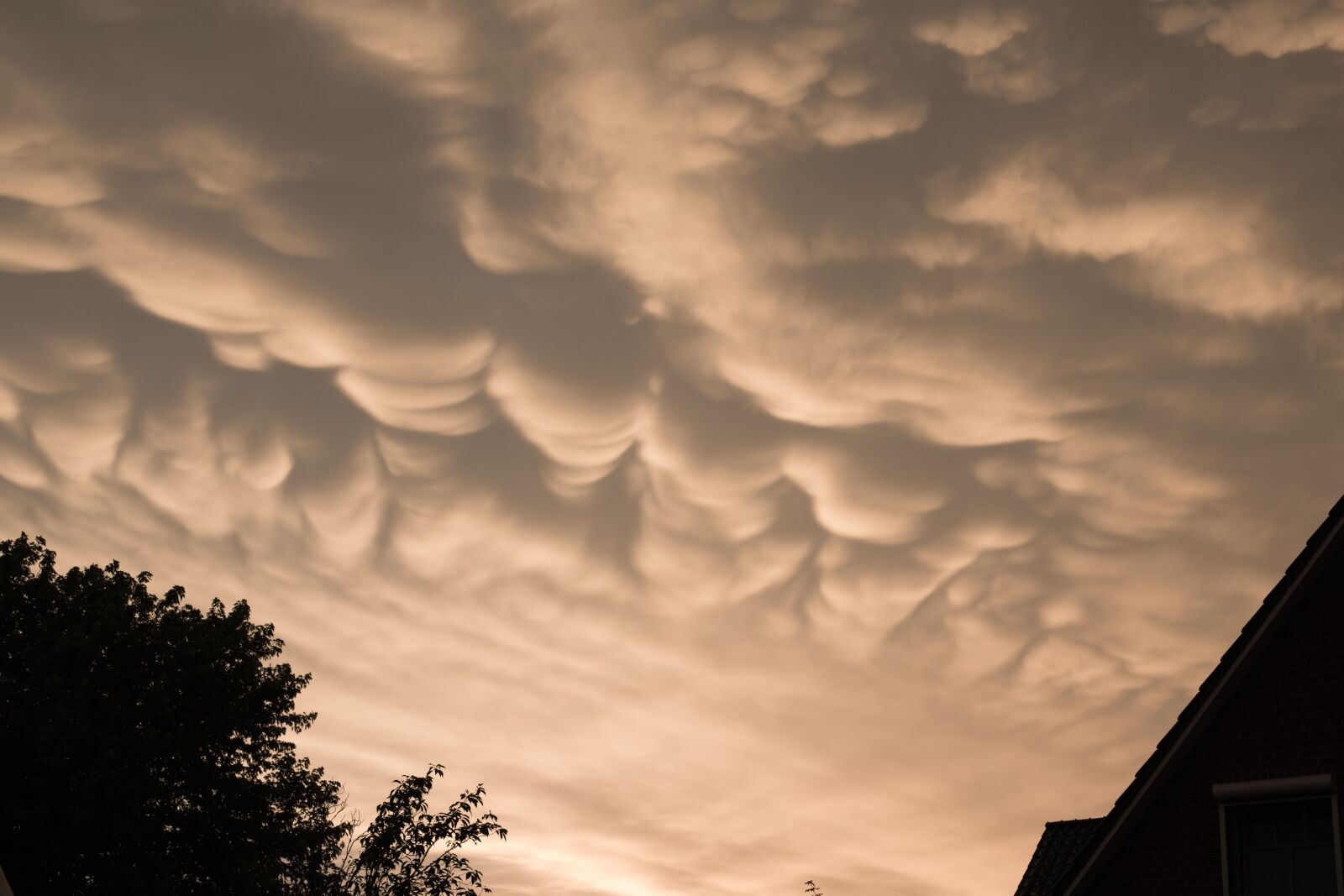 Canon EOS 6D + Canon EF 50mm F1.4 USM sample photo. Clouds, sky, clouds form photography