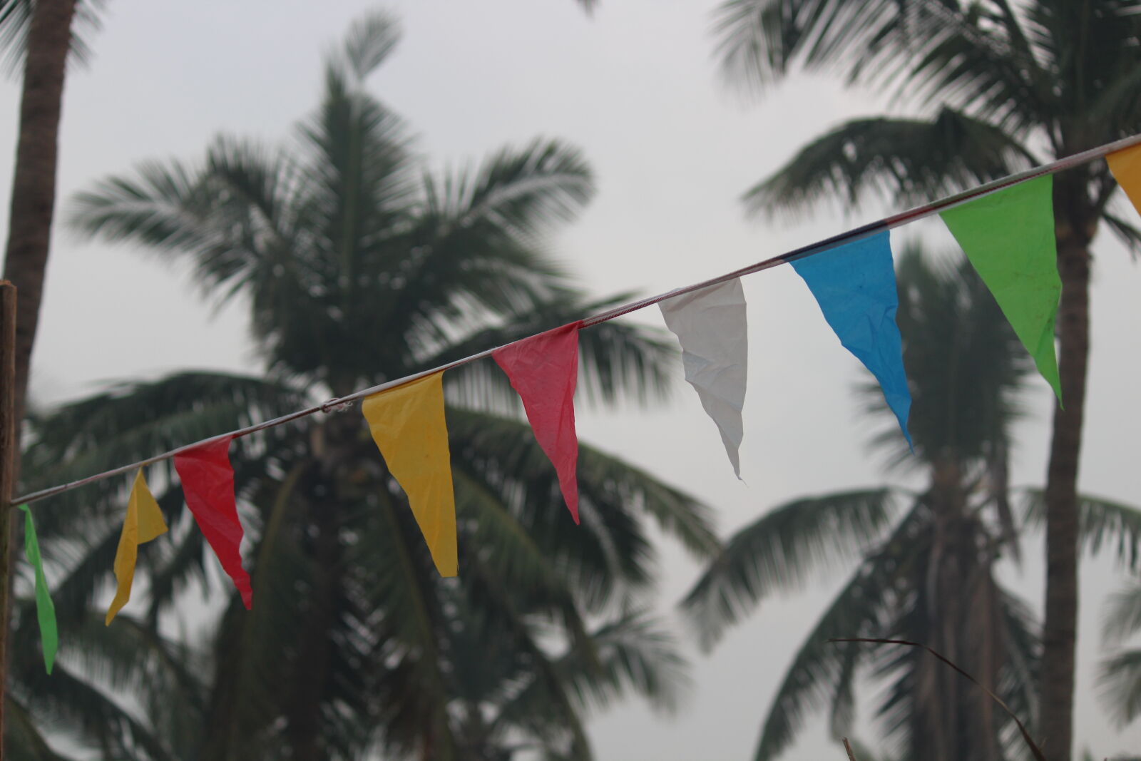 Canon EOS 1300D (EOS Rebel T6 / EOS Kiss X80) sample photo. Buntings photography
