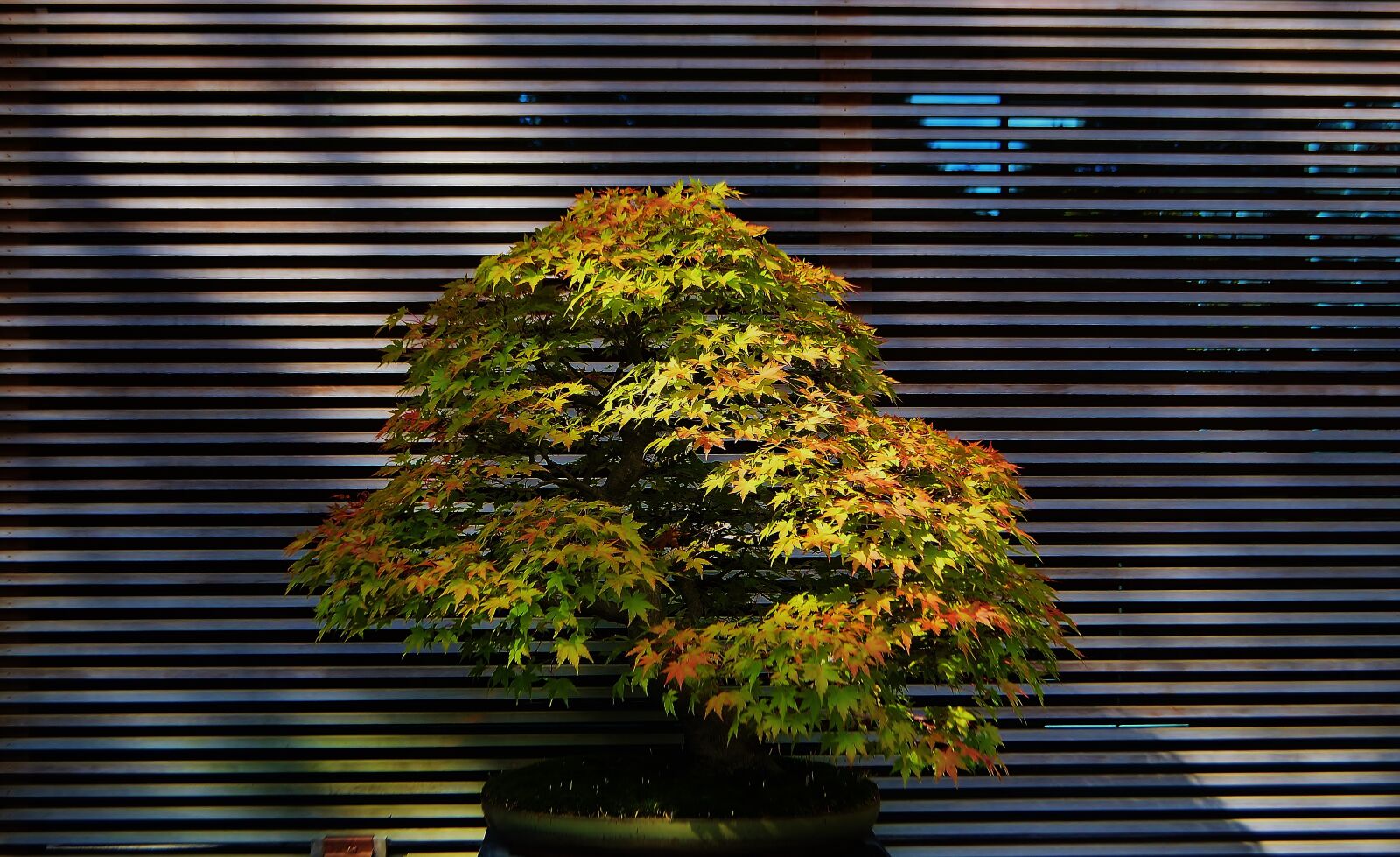 Nikon D5100 sample photo. Portland, oregon, usa photography