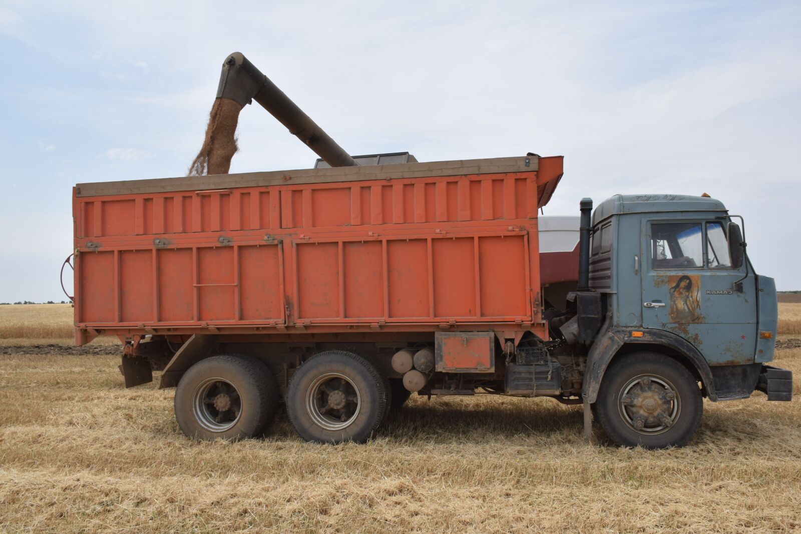 Nikon D5300 sample photo. Wheat, the harvest, corn photography