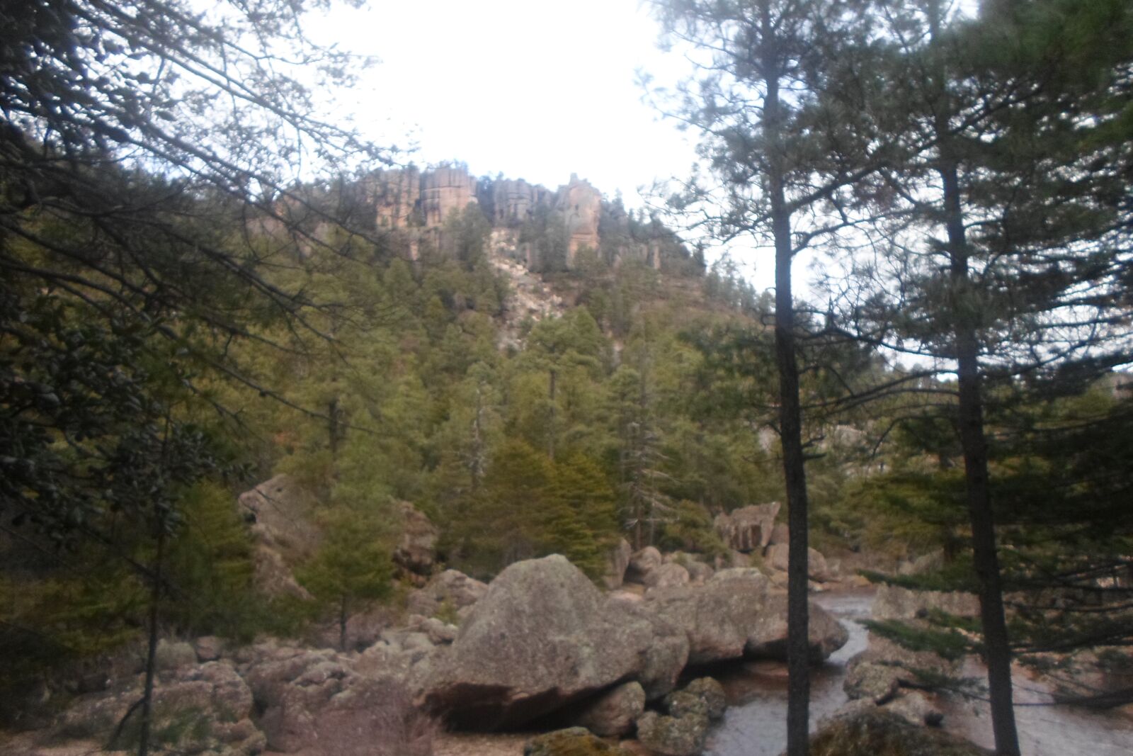 Samsung ST77 / ST79 sample photo. Montaña, arbol, naturaleza photography