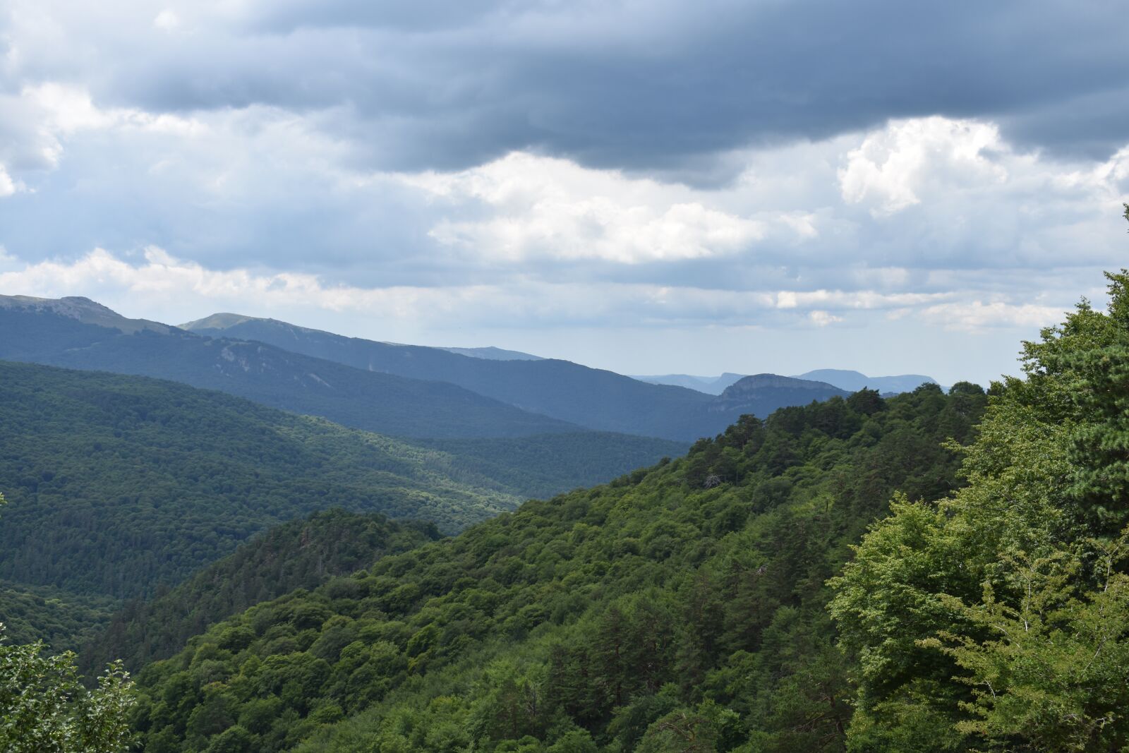 Nikon D3400 sample photo. Mountains, forest, landscape photography
