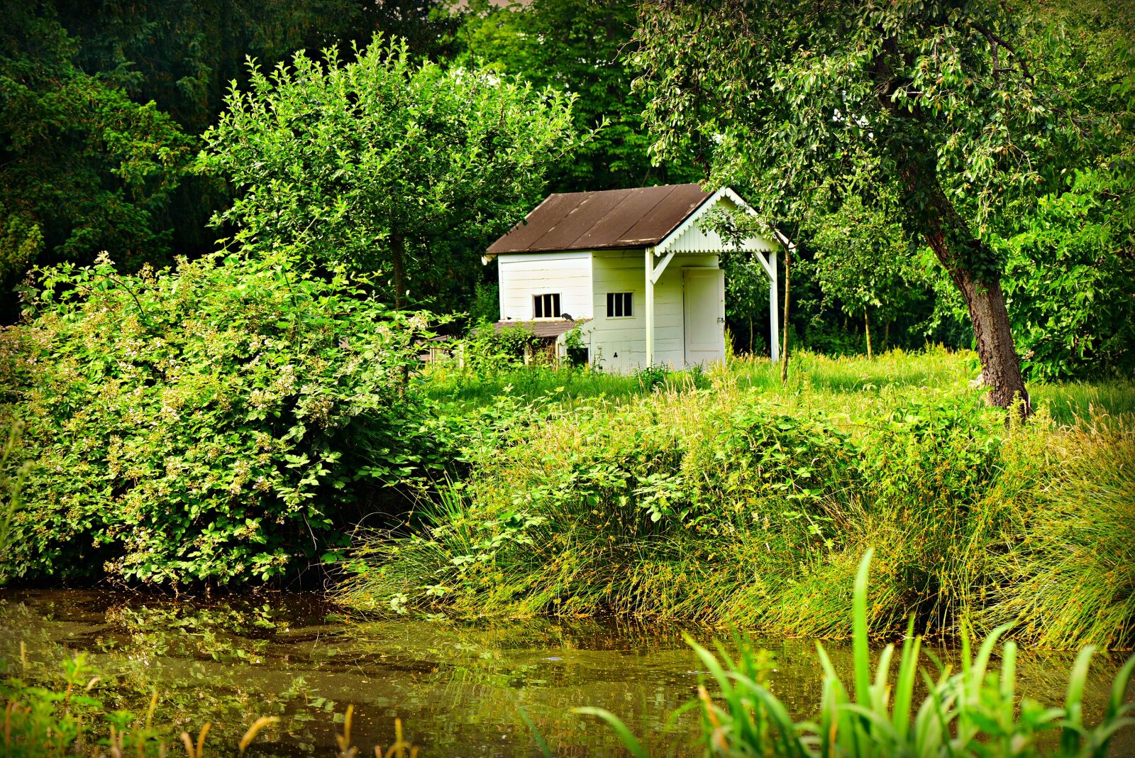 Nikon D750 sample photo. Cottage, house, structure photography