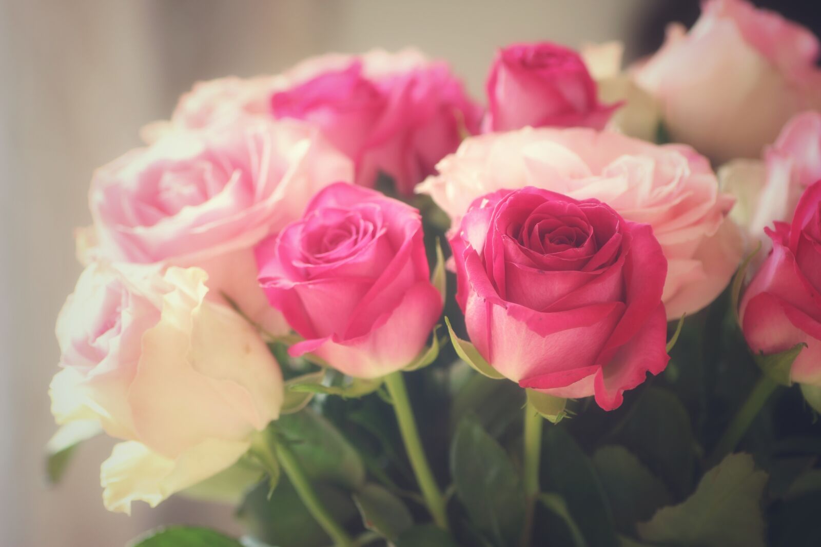 Tamron SP 90mm F2.8 Di VC USD 1:1 Macro sample photo. Bouquet of roses, roses photography