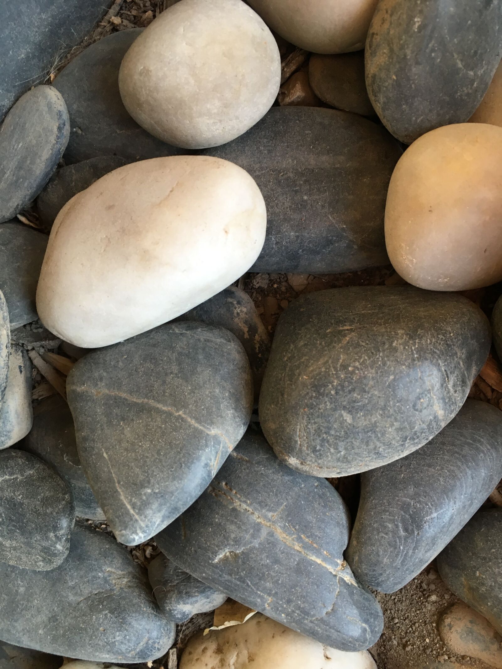 iPhone SE back camera 4.15mm f/2.2 sample photo. Stones, pebbles, rock photography
