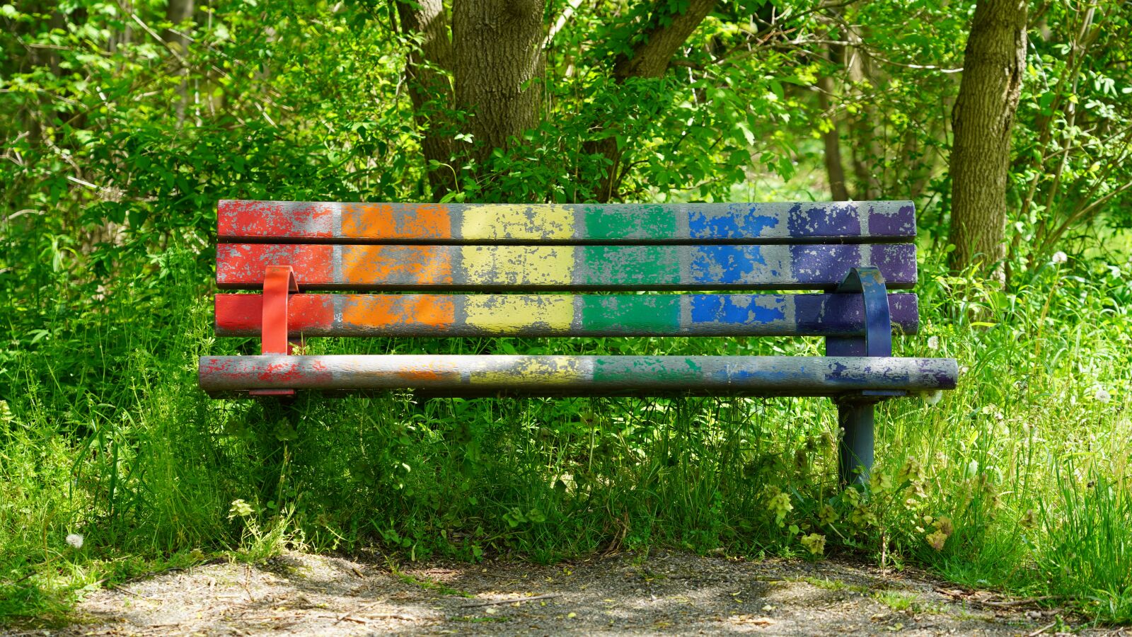 Sony a7 III sample photo. Rainbow, bench, nature photography