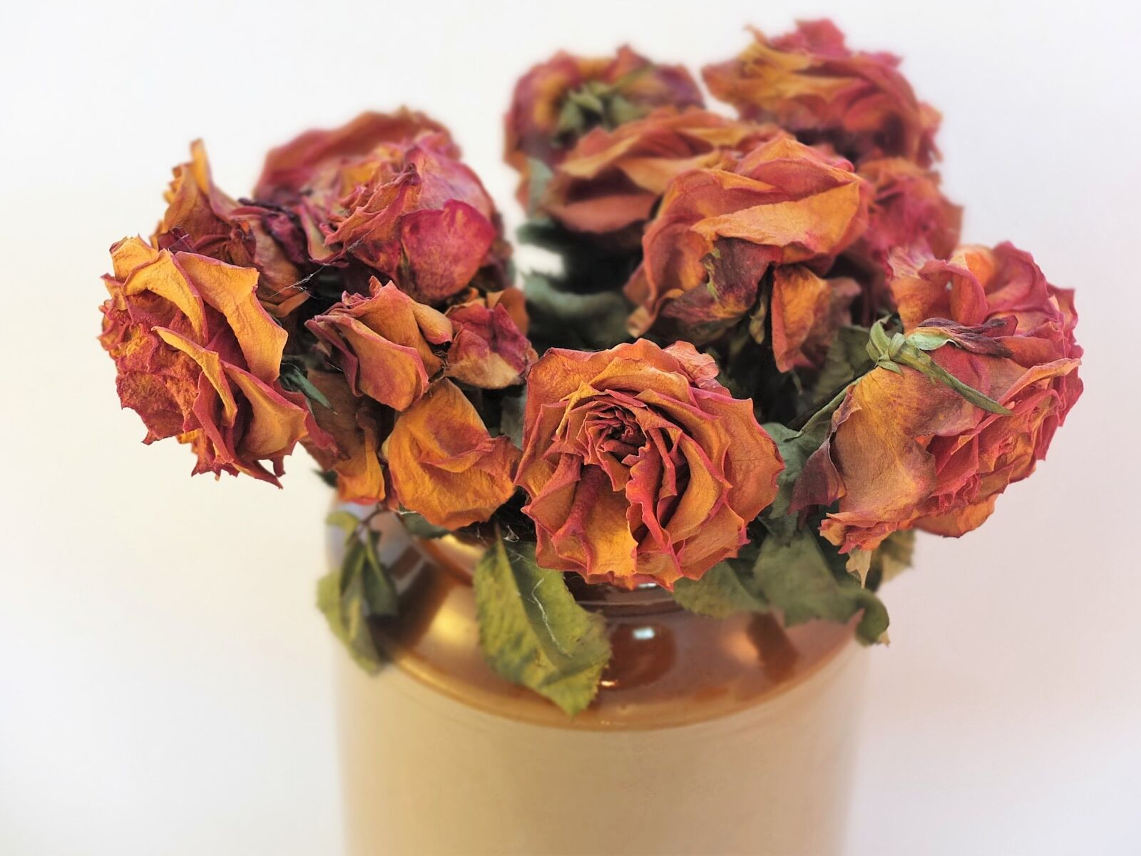 Fujifilm X10 sample photo. Roses, blooms, dried flowers photography