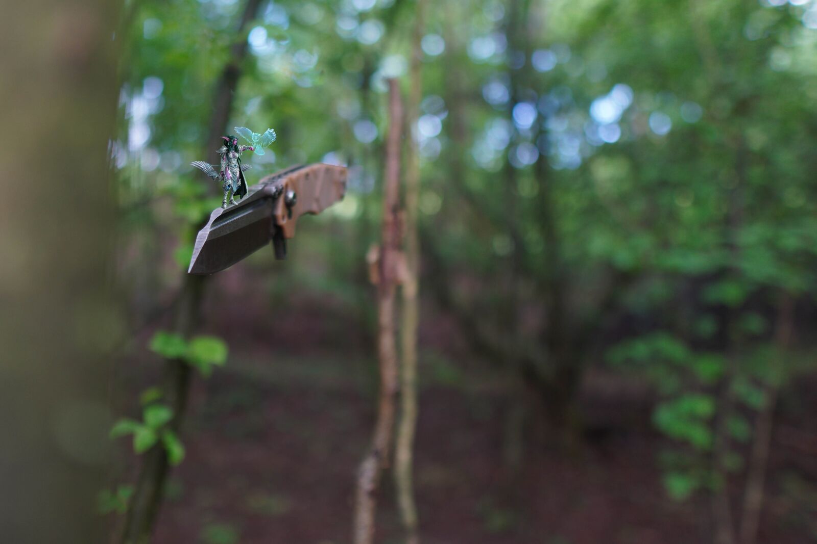 Sony a6400 + Sigma 16mm F1.4 DC DN | C sample photo. Nature, fire, knife photography