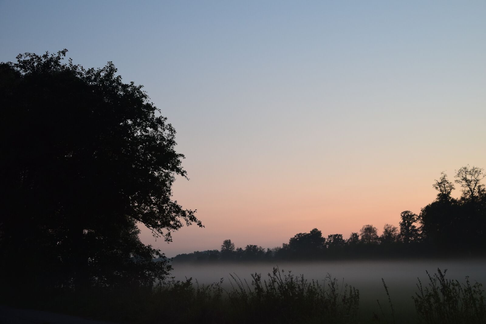 Nikon D3300 sample photo. Sunset, fog, autumn photography
