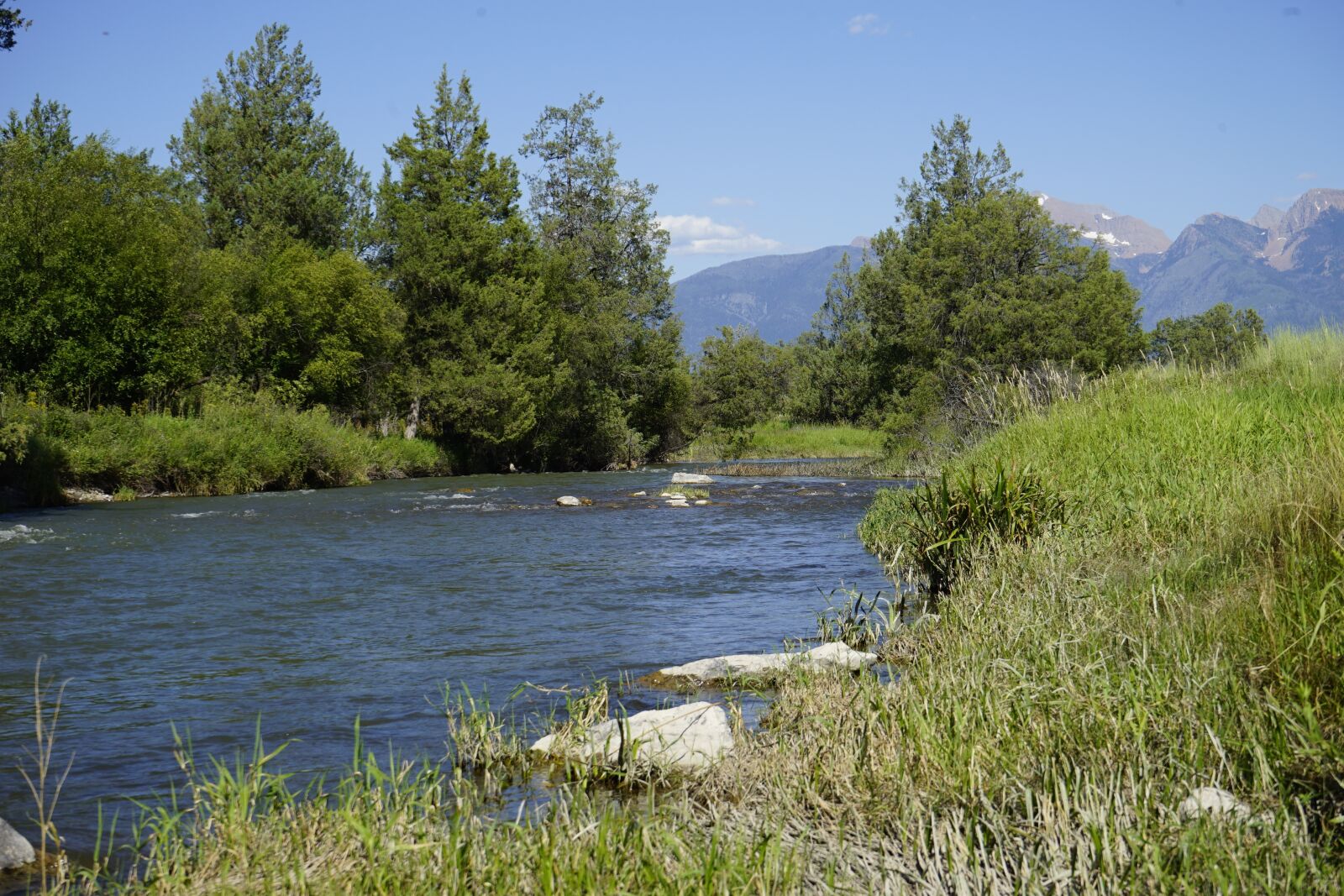 Sony a7 II + Sony FE 28-70mm F3.5-5.6 OSS sample photo. Flathead river, montana, national photography