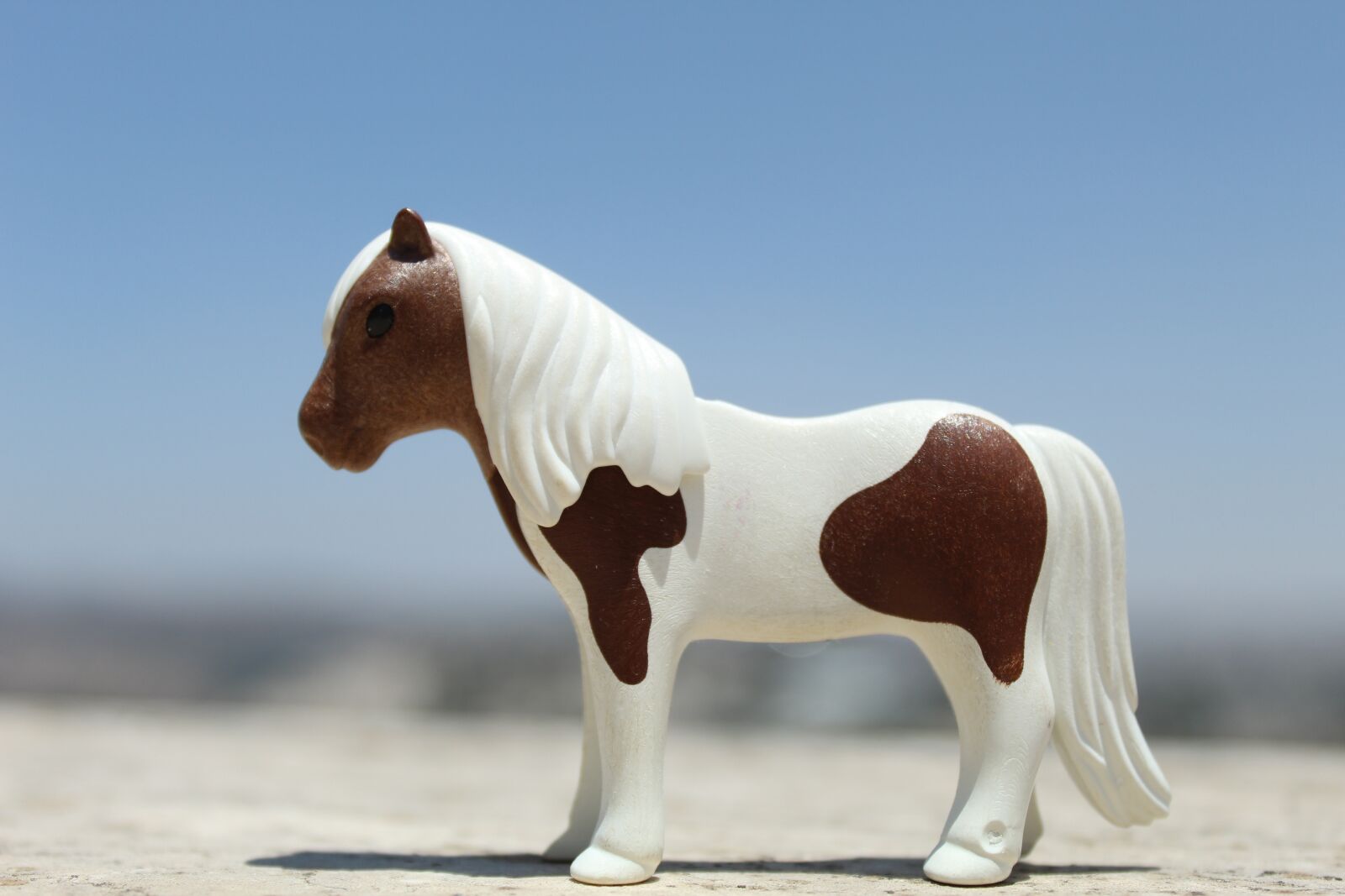 Canon EOS 4000D (EOS Rebel T100 / EOS 3000D) sample photo. Horse, playmobil, toy photography