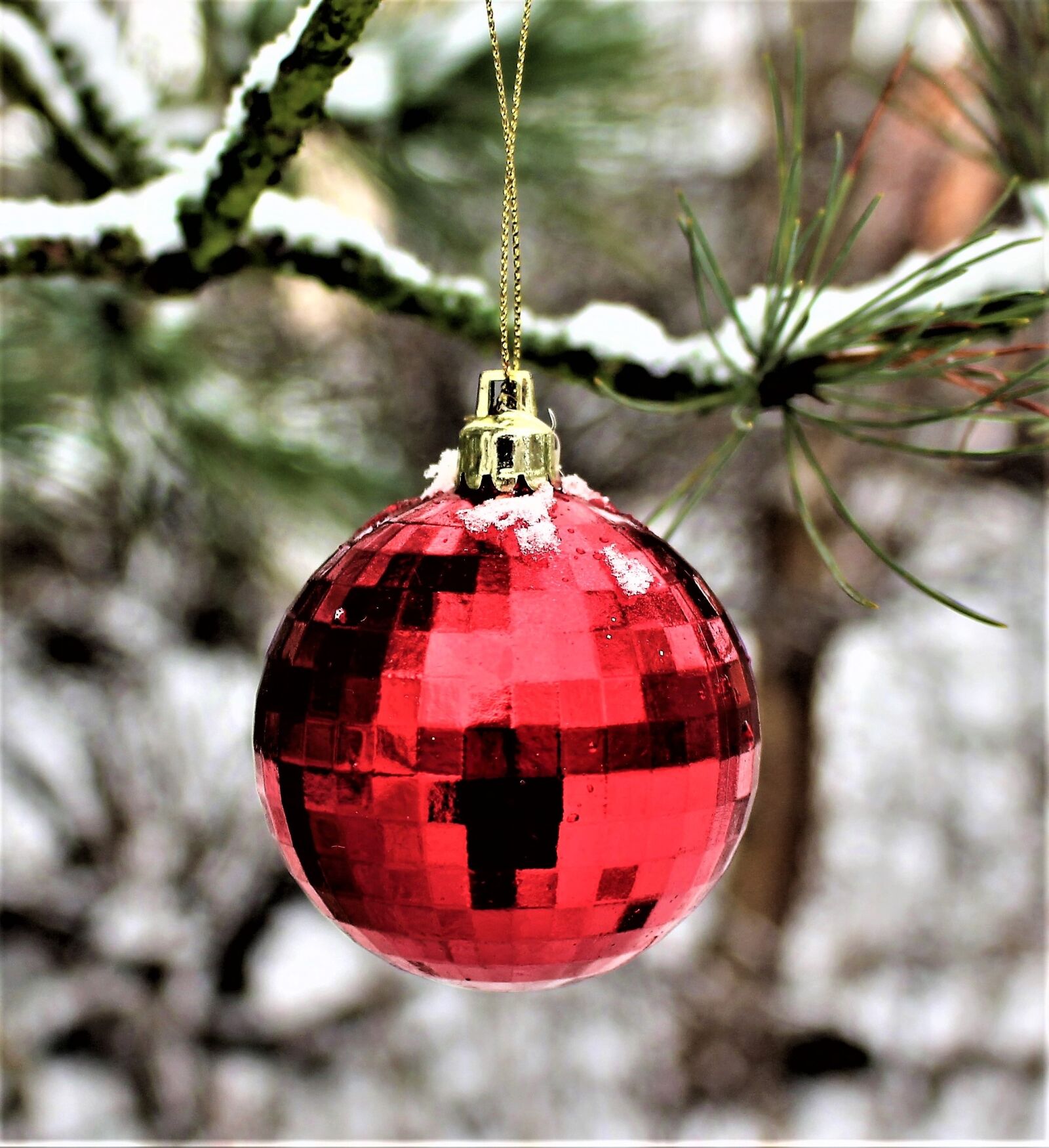 Canon EOS 700D (EOS Rebel T5i / EOS Kiss X7i) sample photo. Julkula, christmas ornaments, hanging photography