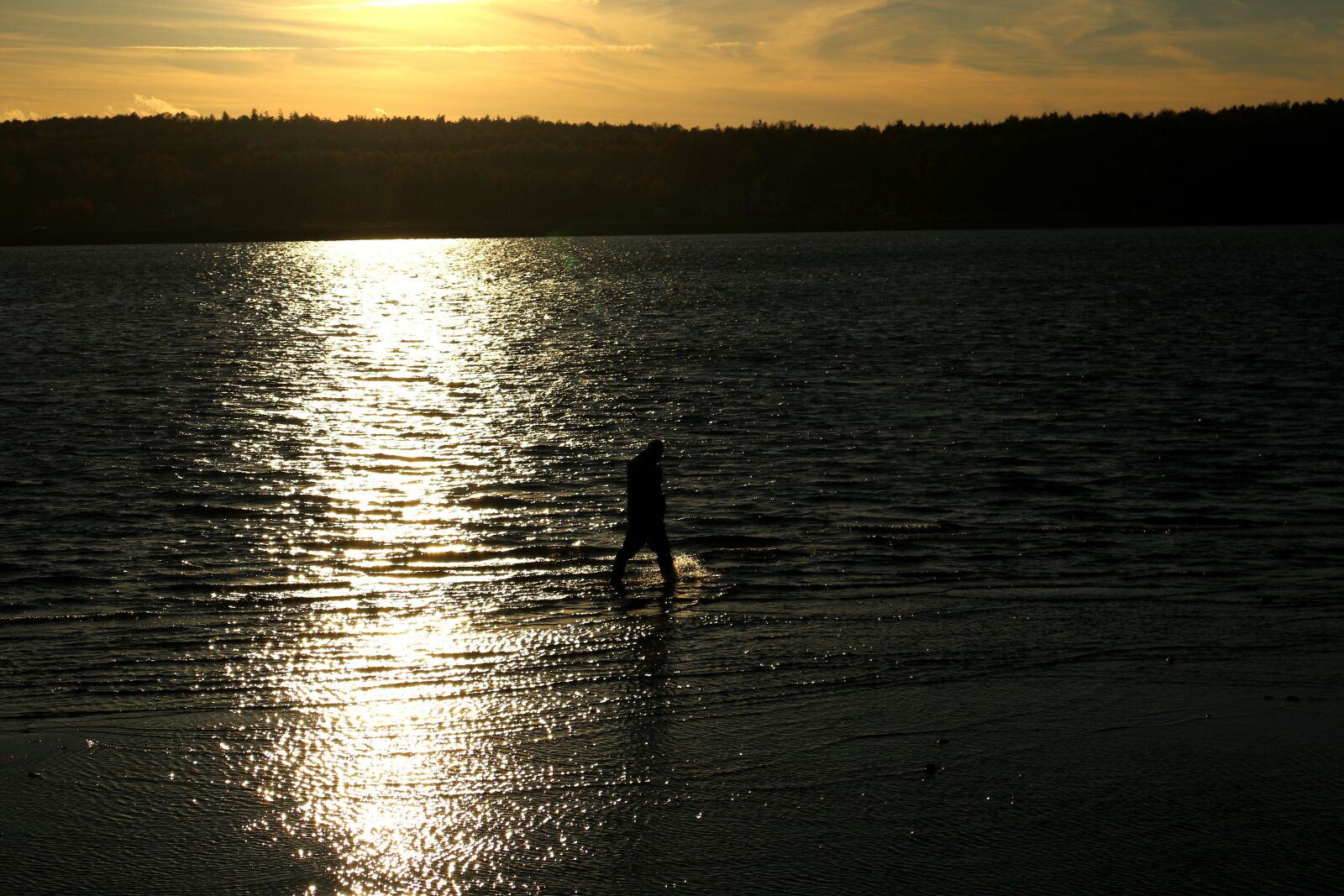 Canon EOS 100D (EOS Rebel SL1 / EOS Kiss X7) sample photo. Landscape, sunset, tree photography