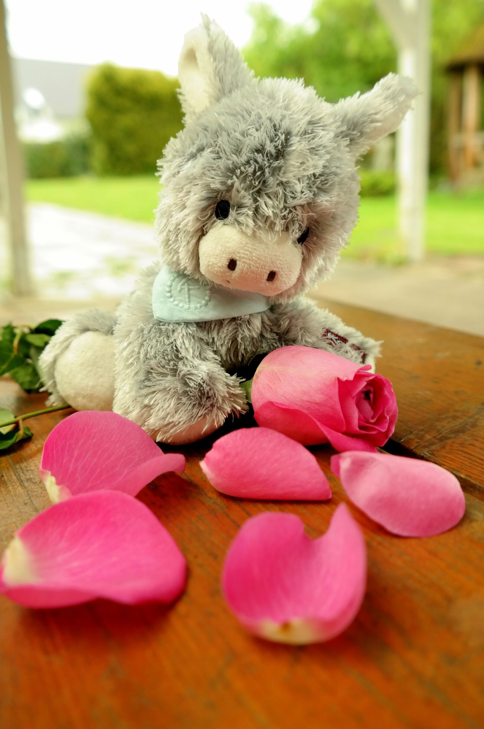 Samsung NX300M sample photo. Donkey, teddy bear, soft photography