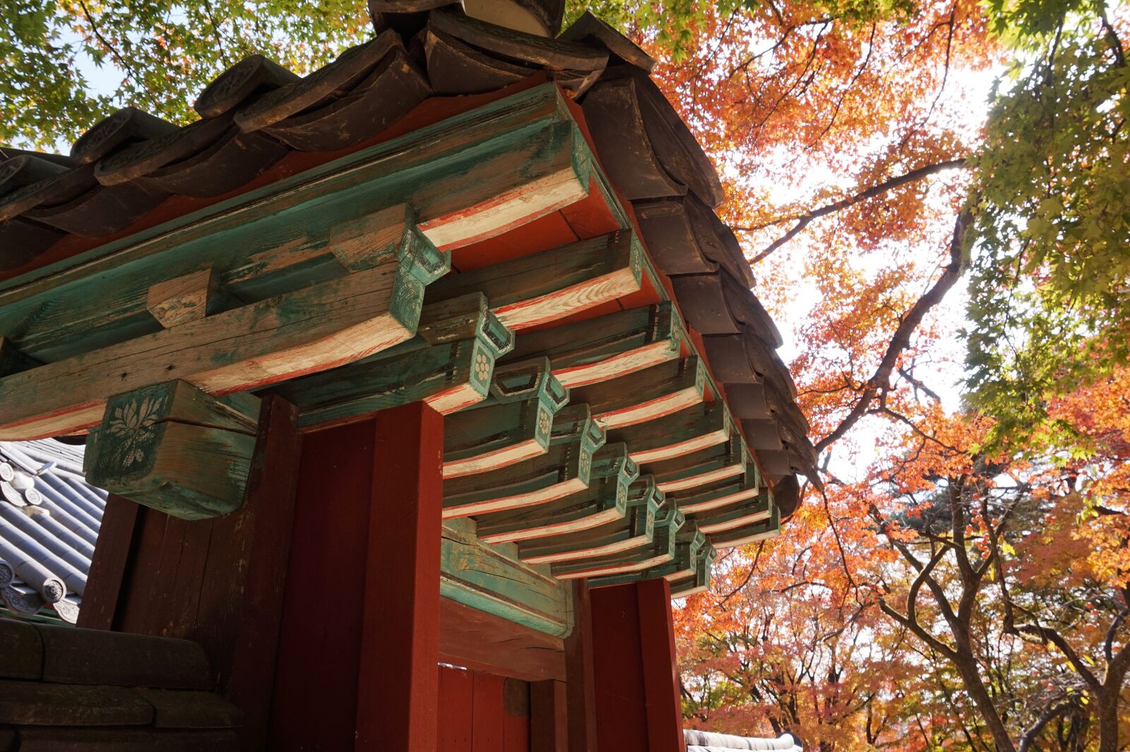 Sony Alpha a5000 (ILCE 5000) sample photo. The bulguksa temple, racing photography